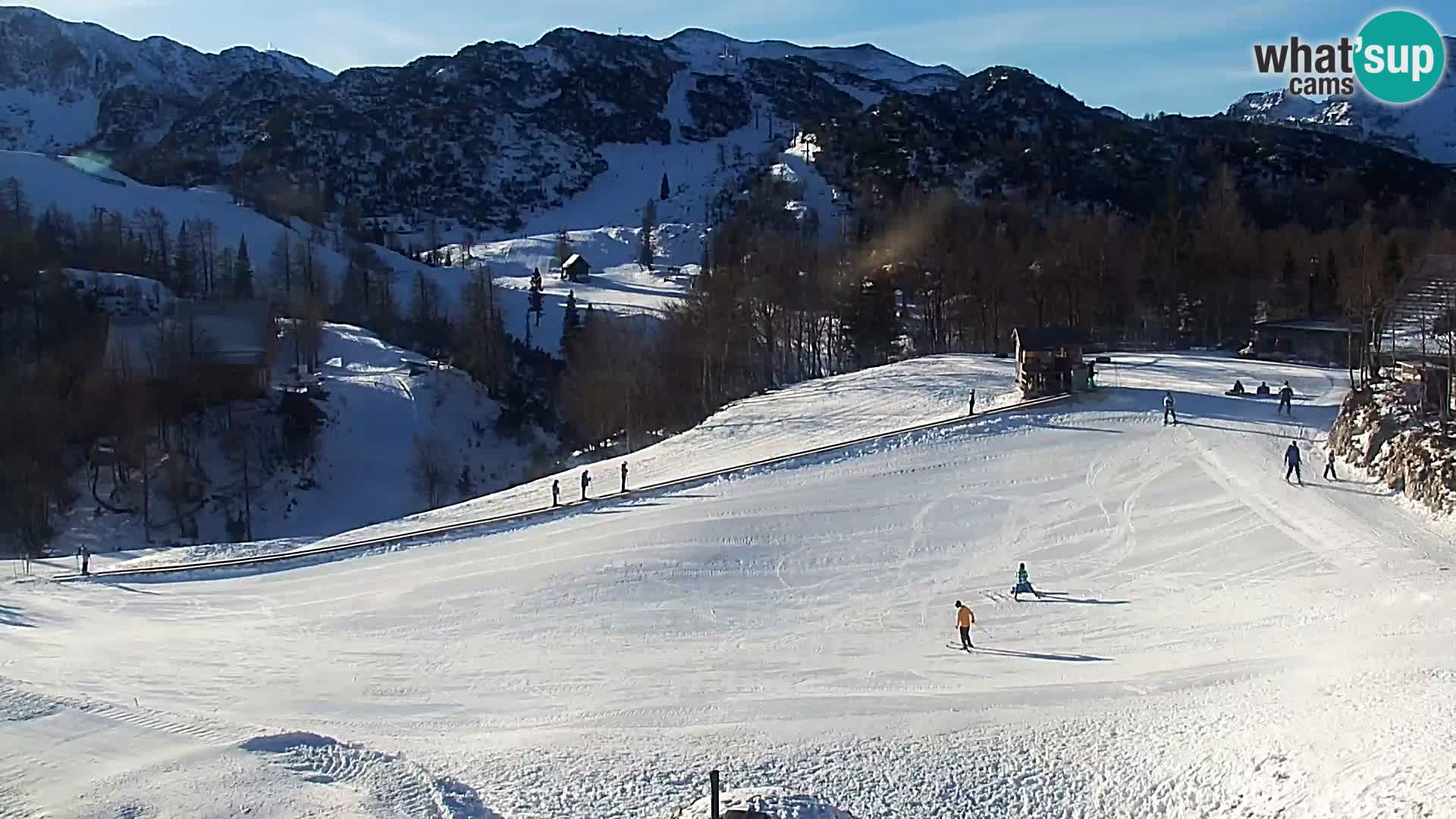 Webcam Skigebiet Vogel