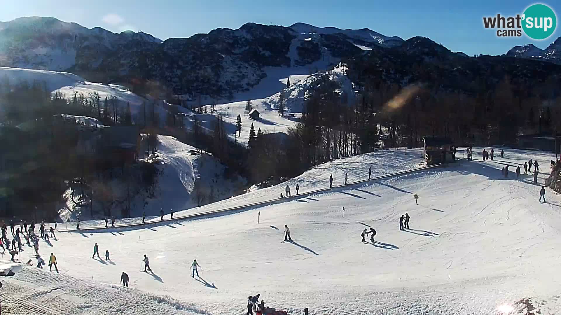 Webcam Skigebiet Vogel