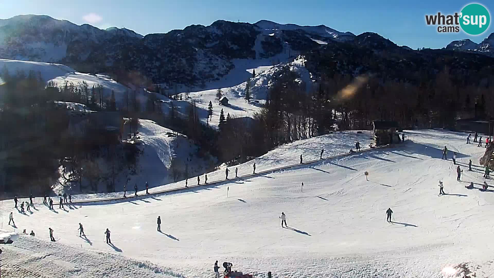 Webcam Skigebiet Vogel