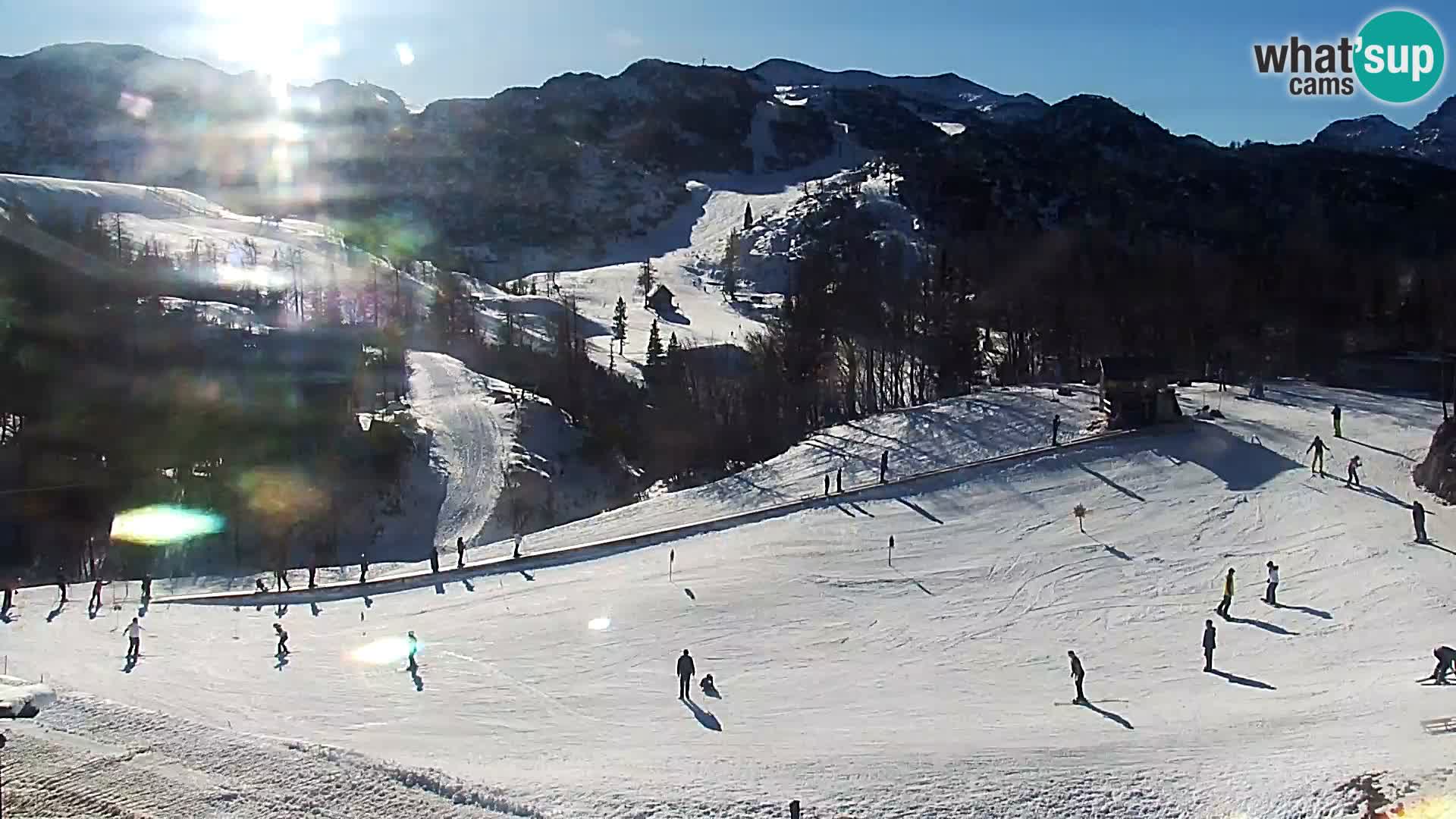 Webcam Ski resort Vogel