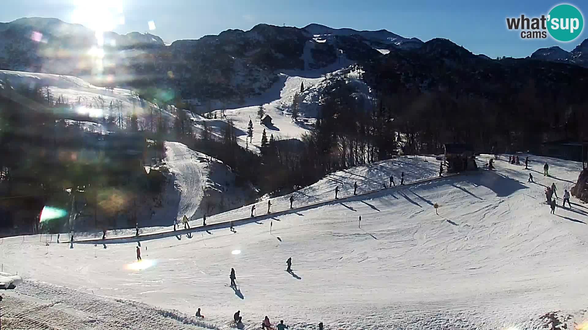 Webcam Ski resort Vogel