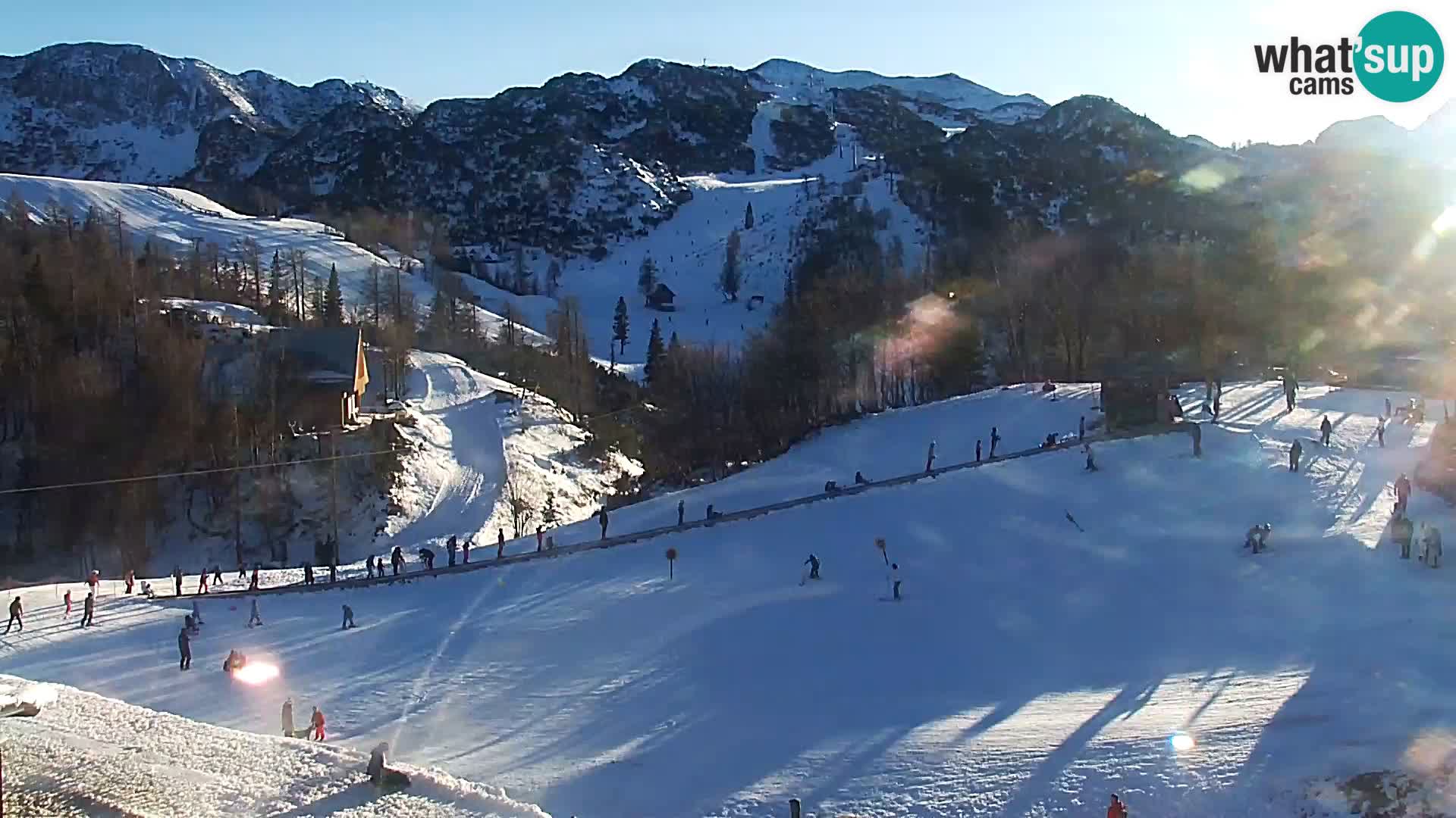 Webcam Skigebiet Vogel