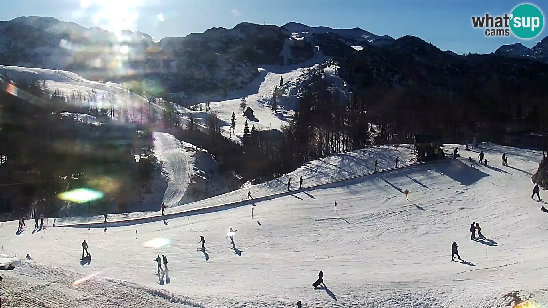 Spletna kamera Smučišče Kamera v zivo Vogel – postaja nihalke