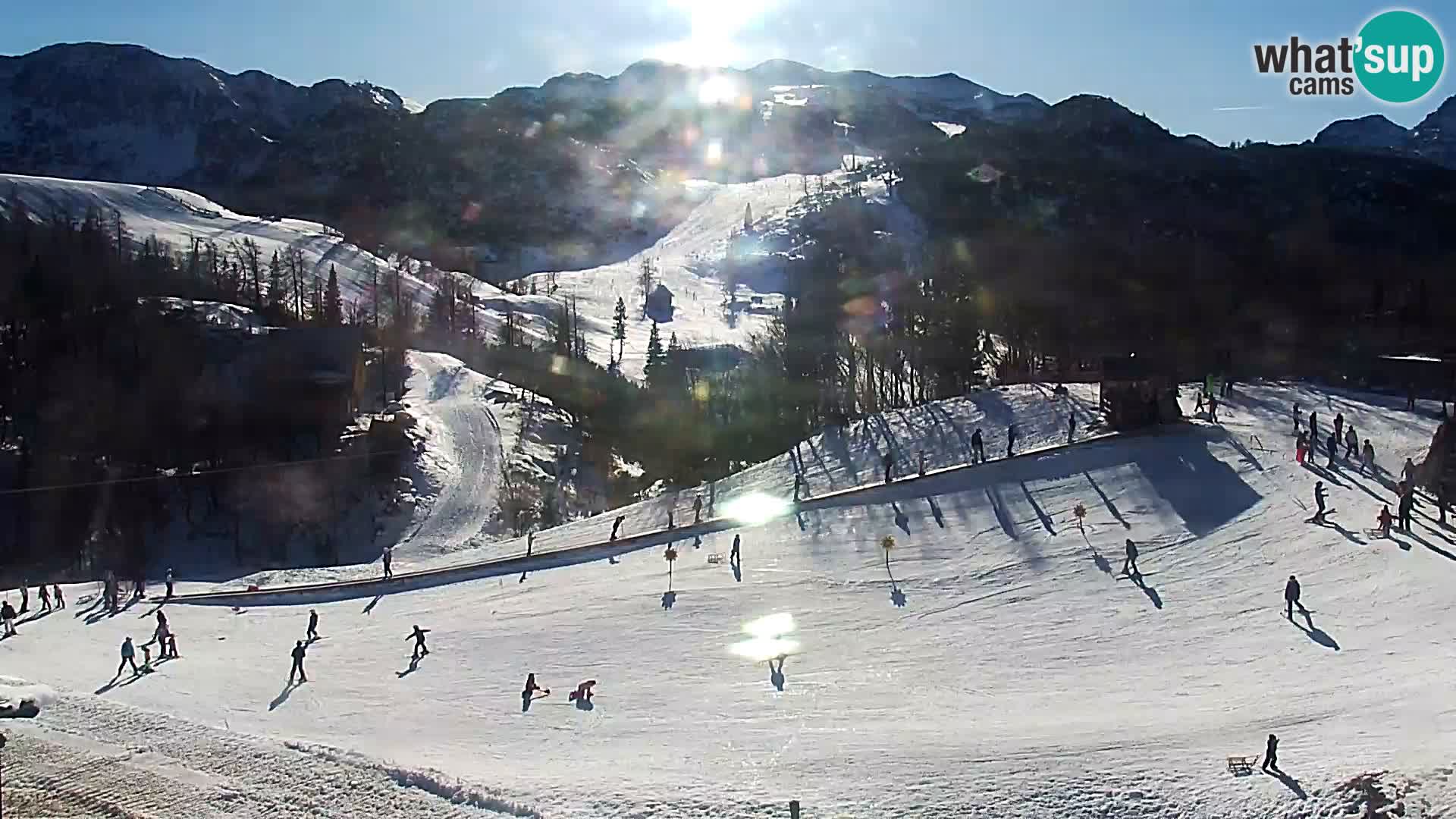 Webcam Ski resort Vogel