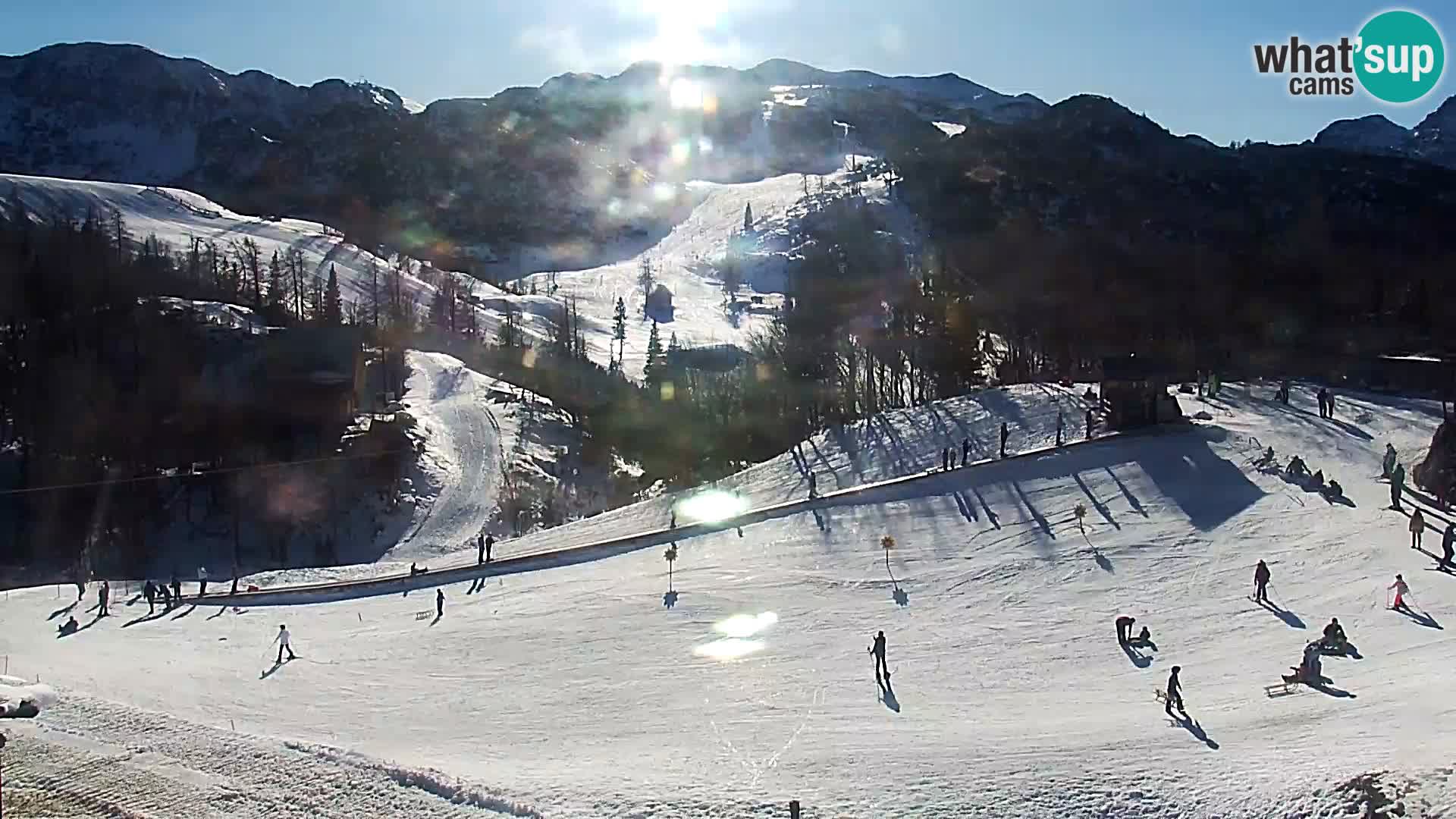 Webcam Ski resort Vogel