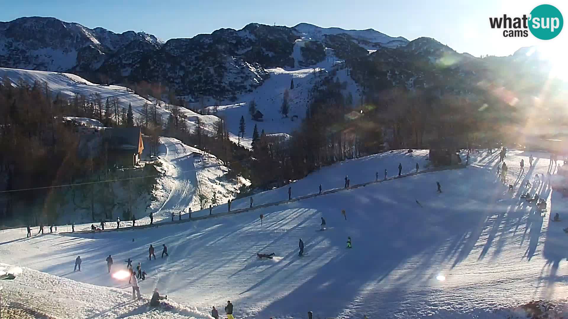 Live cam Station ski Vogel