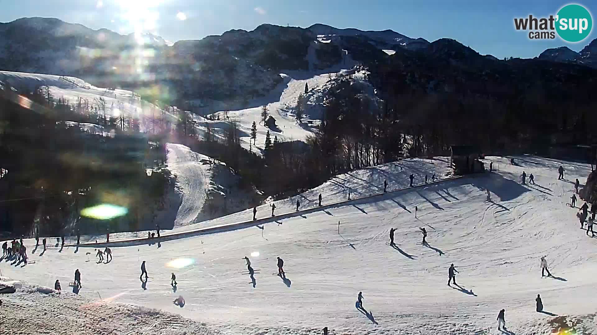 Webcam Ski resort Vogel