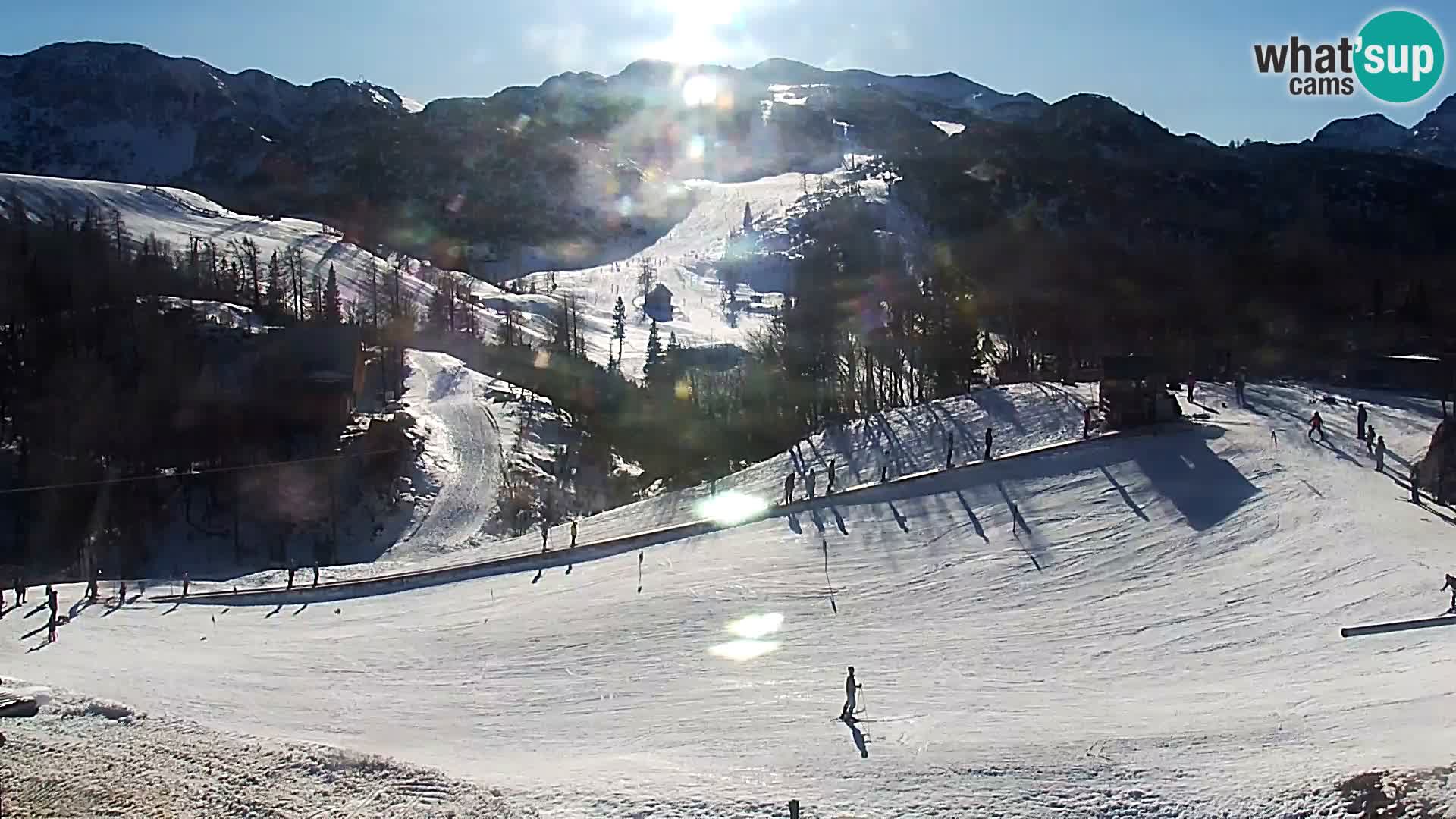 Live cam Station ski Vogel