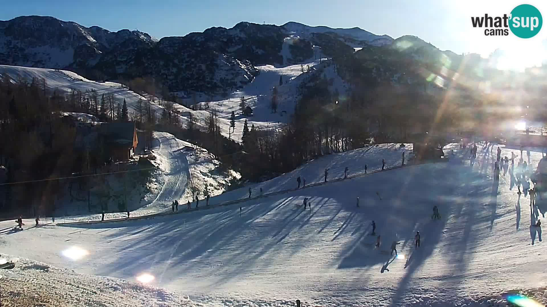 Live cam Station ski Vogel