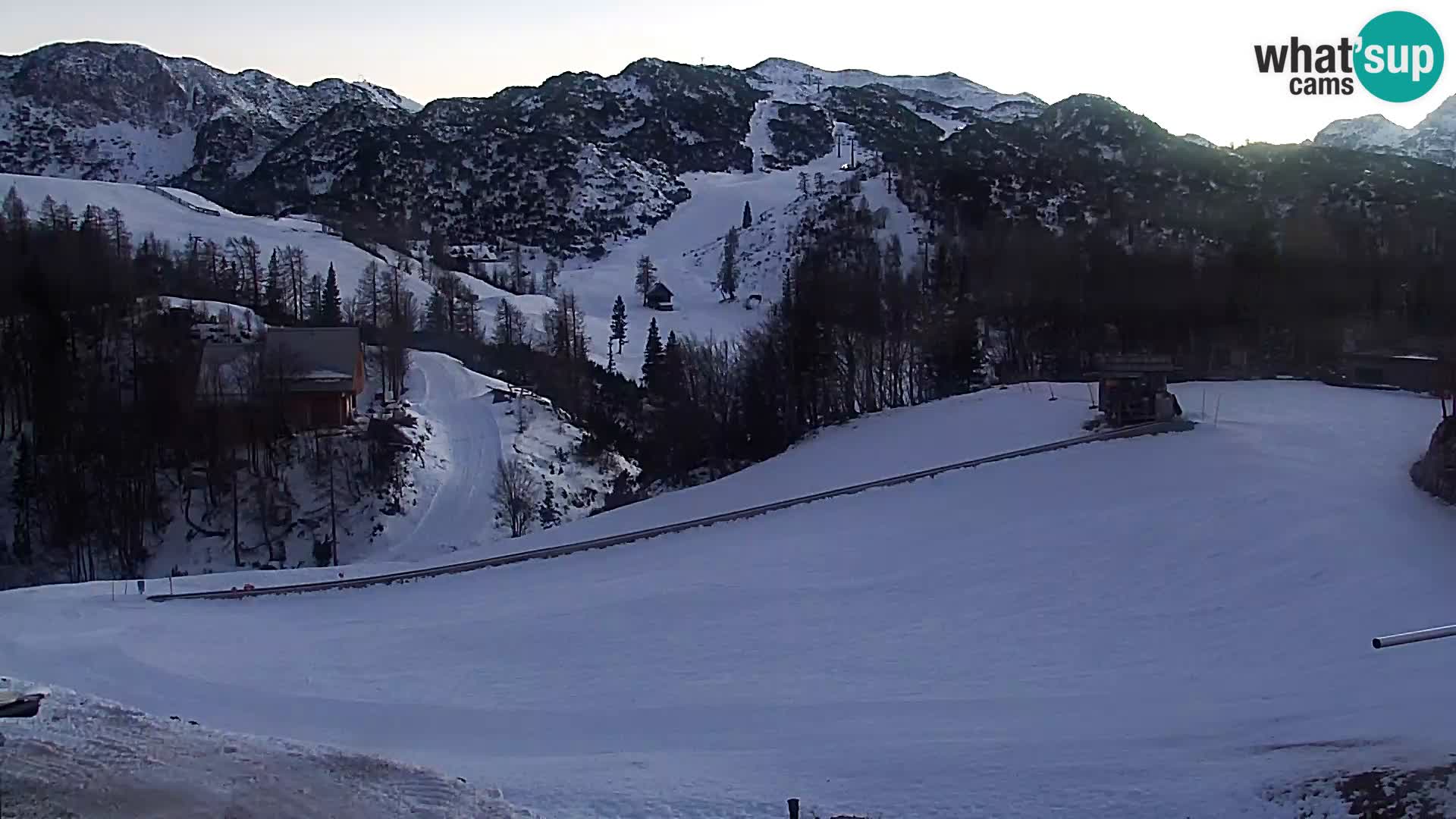 Webcam Skigebiet Vogel