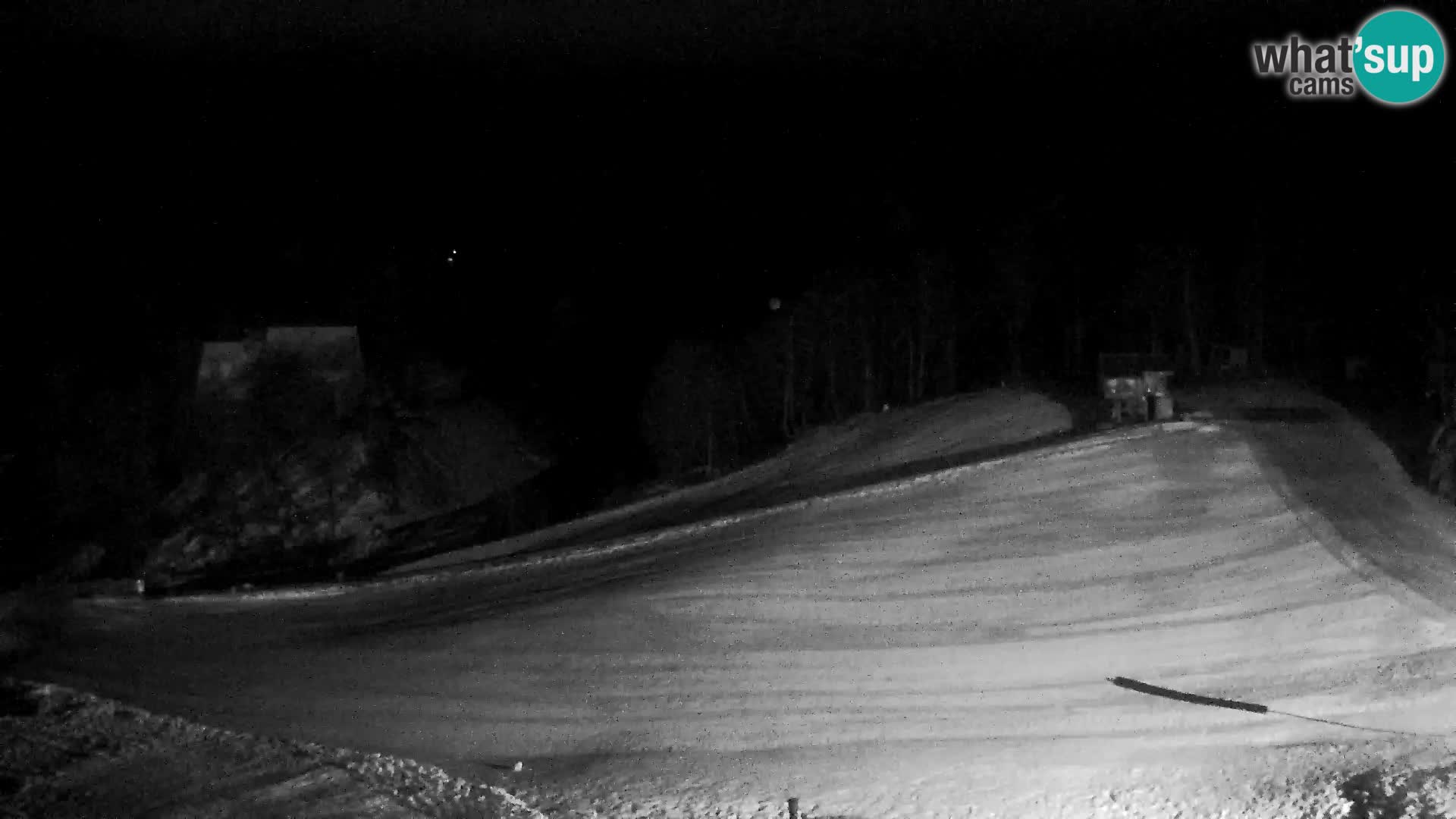 Live cam Station ski Vogel