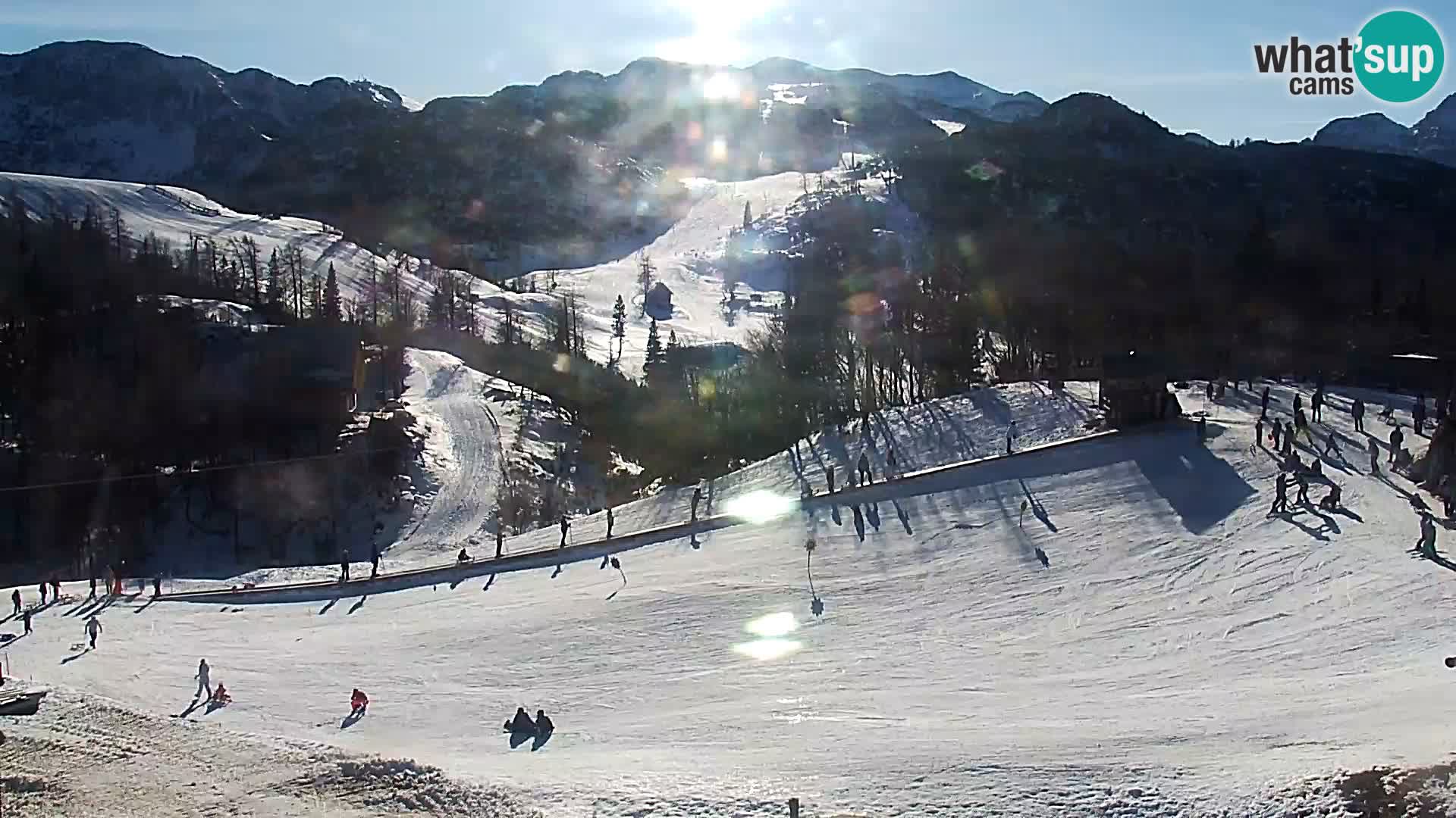 Webcam Ski resort Vogel