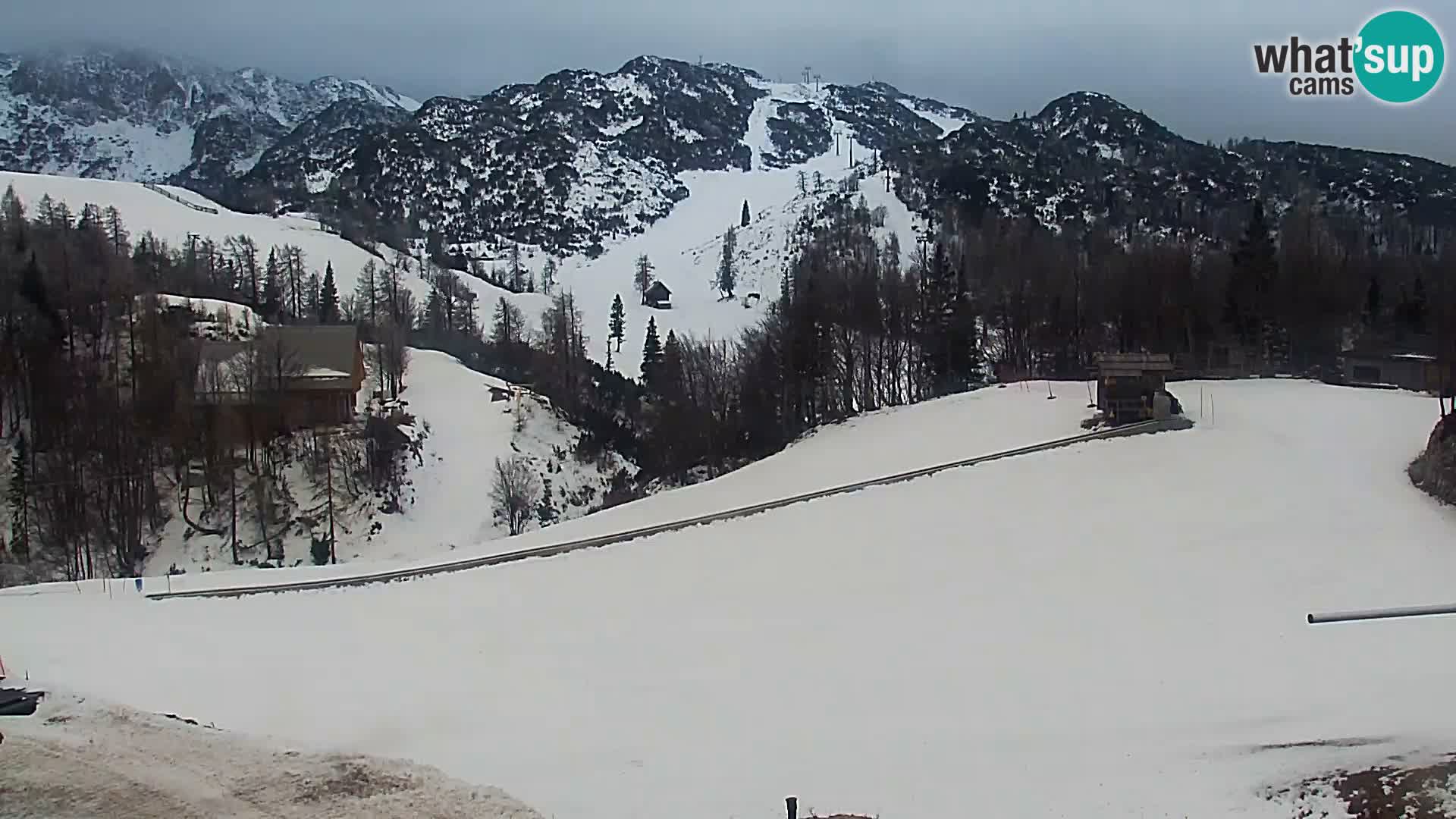 Webcam Ski resort Vogel