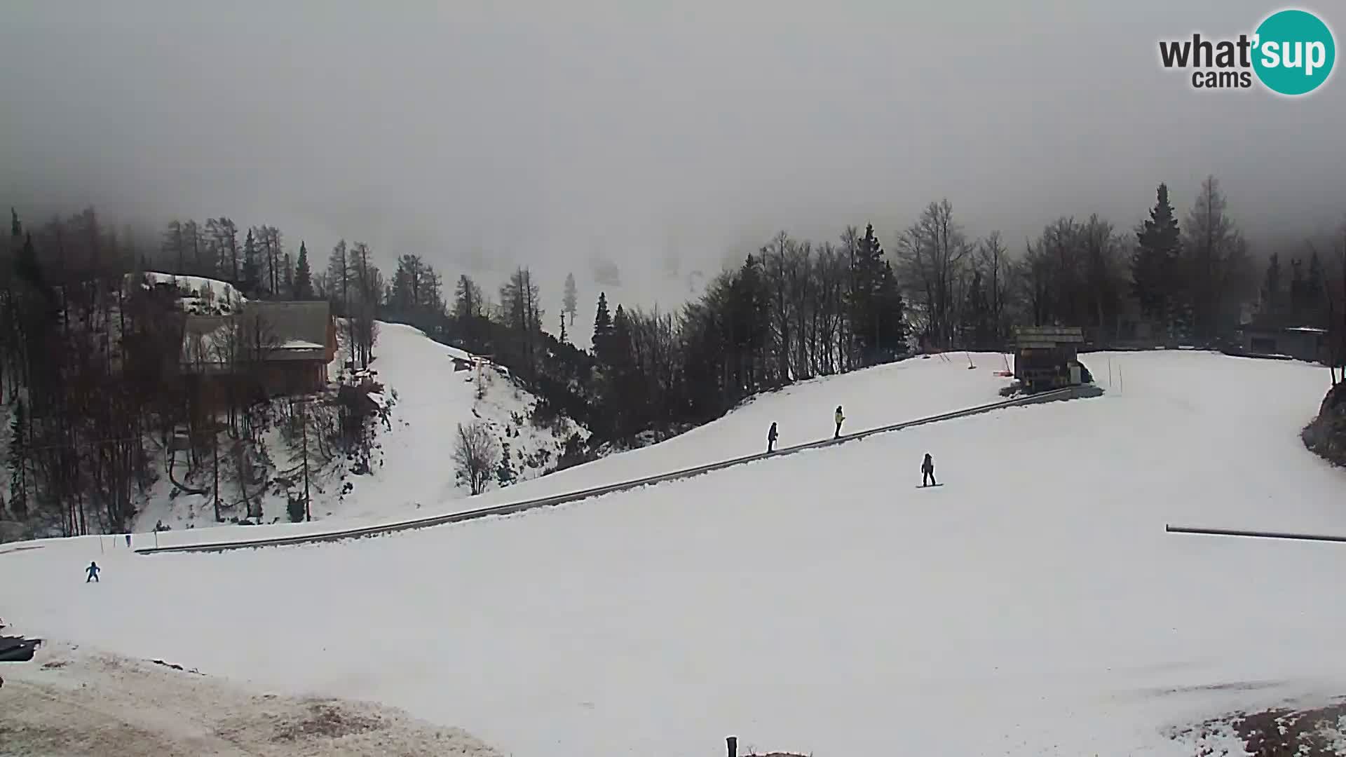 Webcam Ski resort Vogel