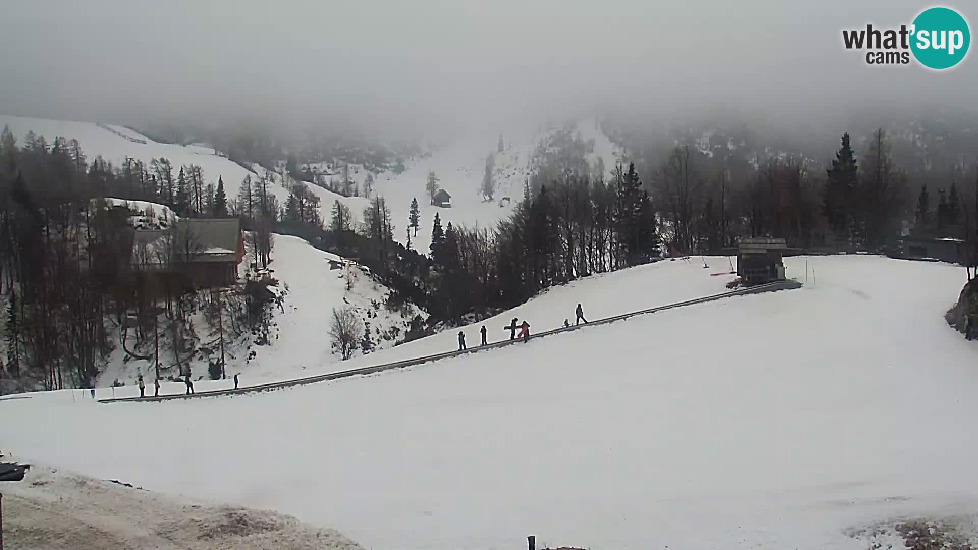 Webcam Ski resort Vogel