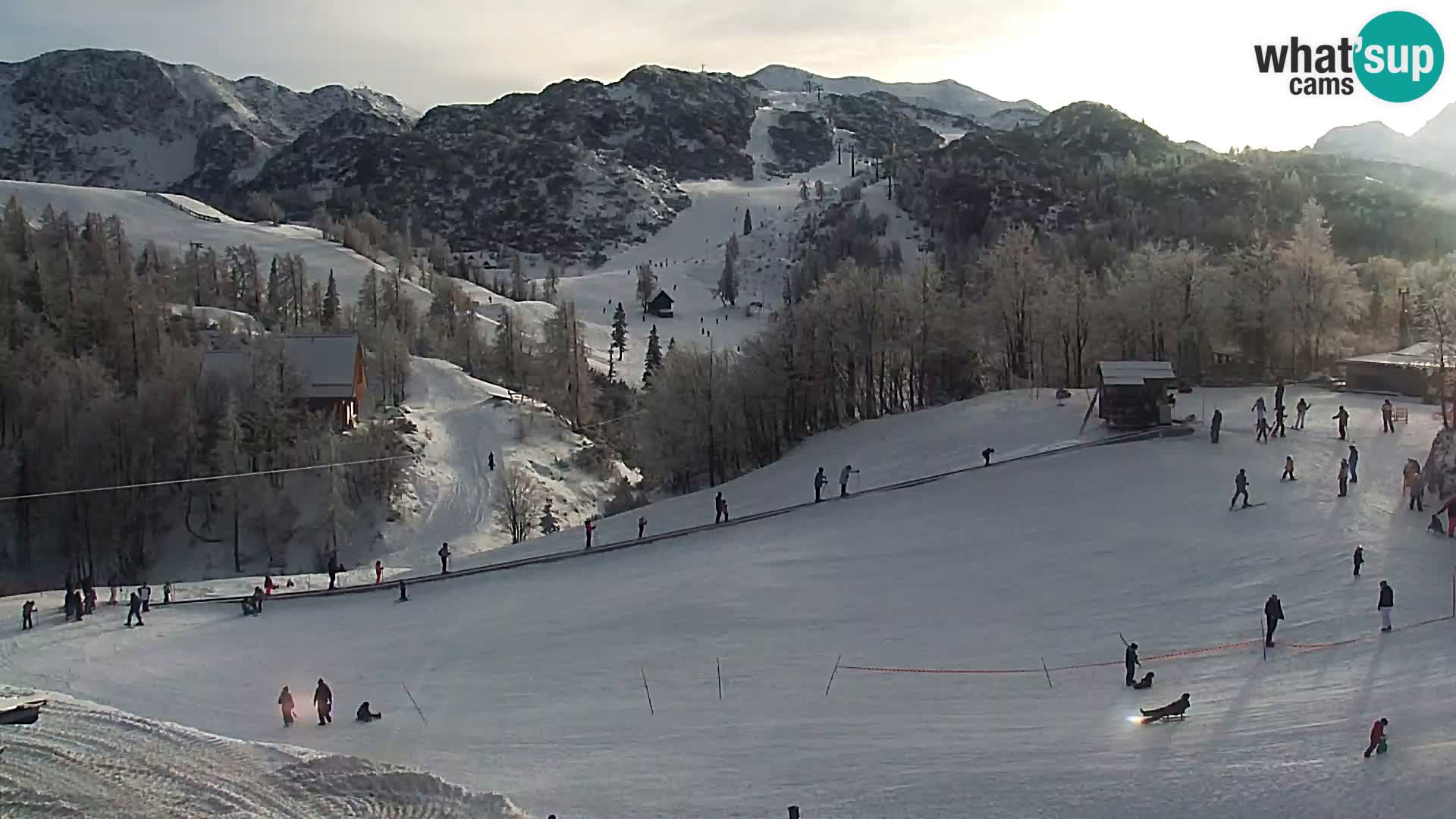 Webcam Ski resort Vogel