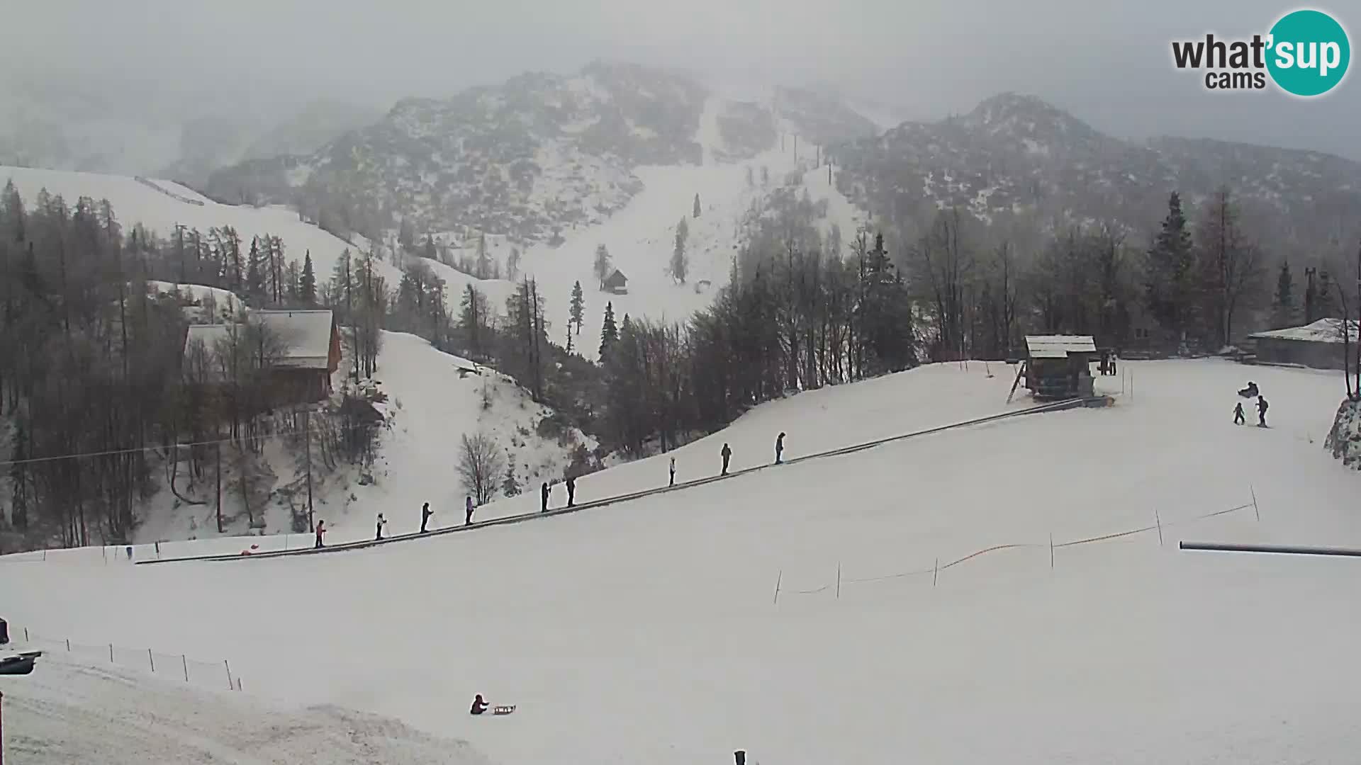 Webcam Ski resort Vogel