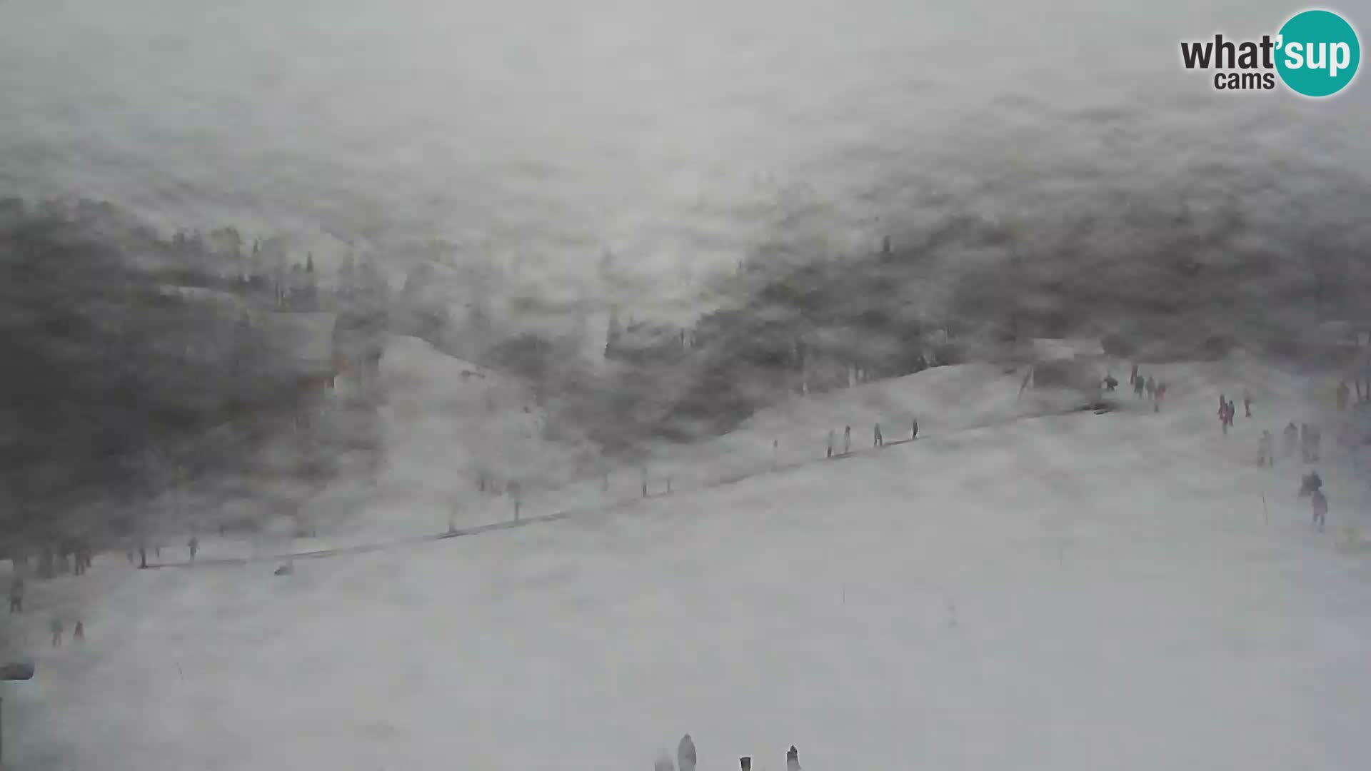 Live cam Station ski Vogel