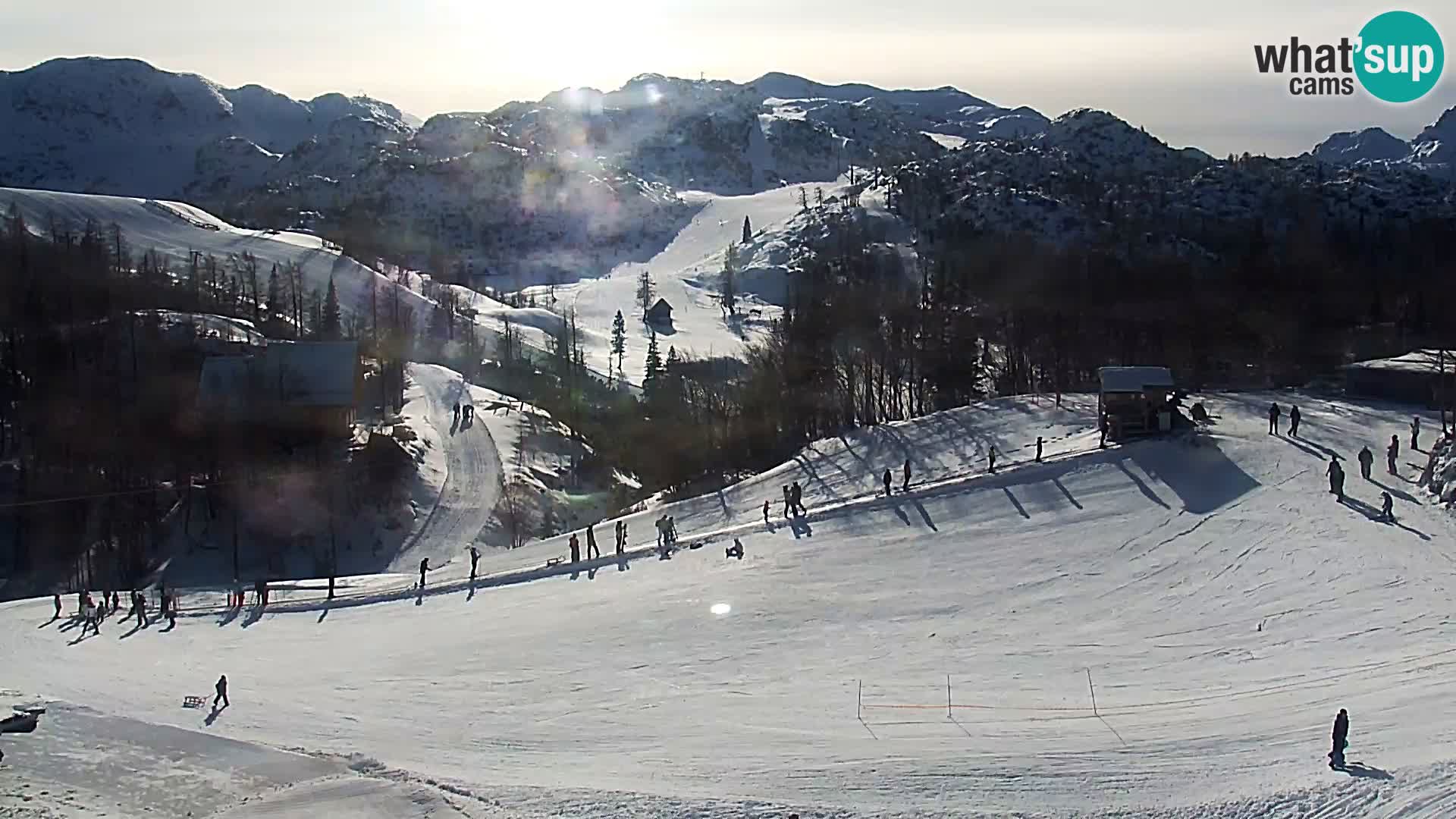 Webcam Skigebiet Vogel