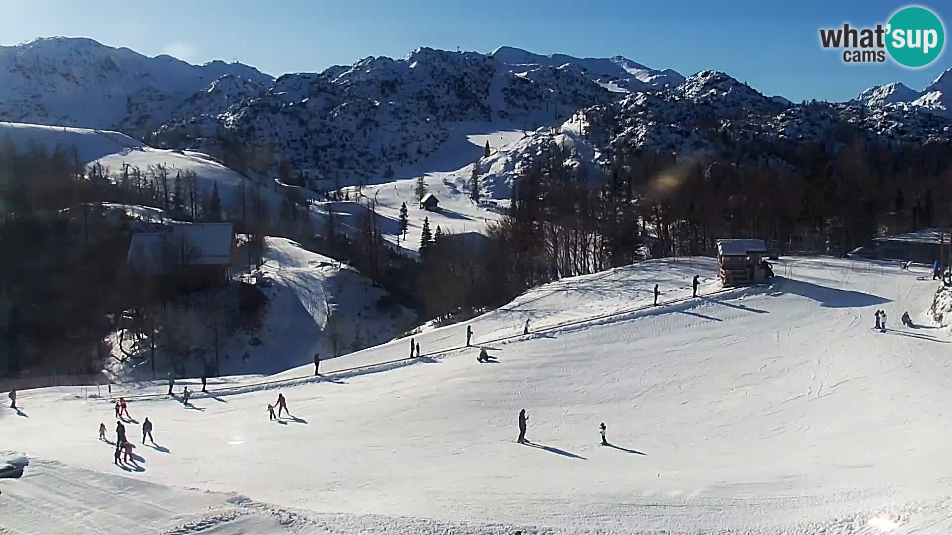 Webcam Ski resort Vogel