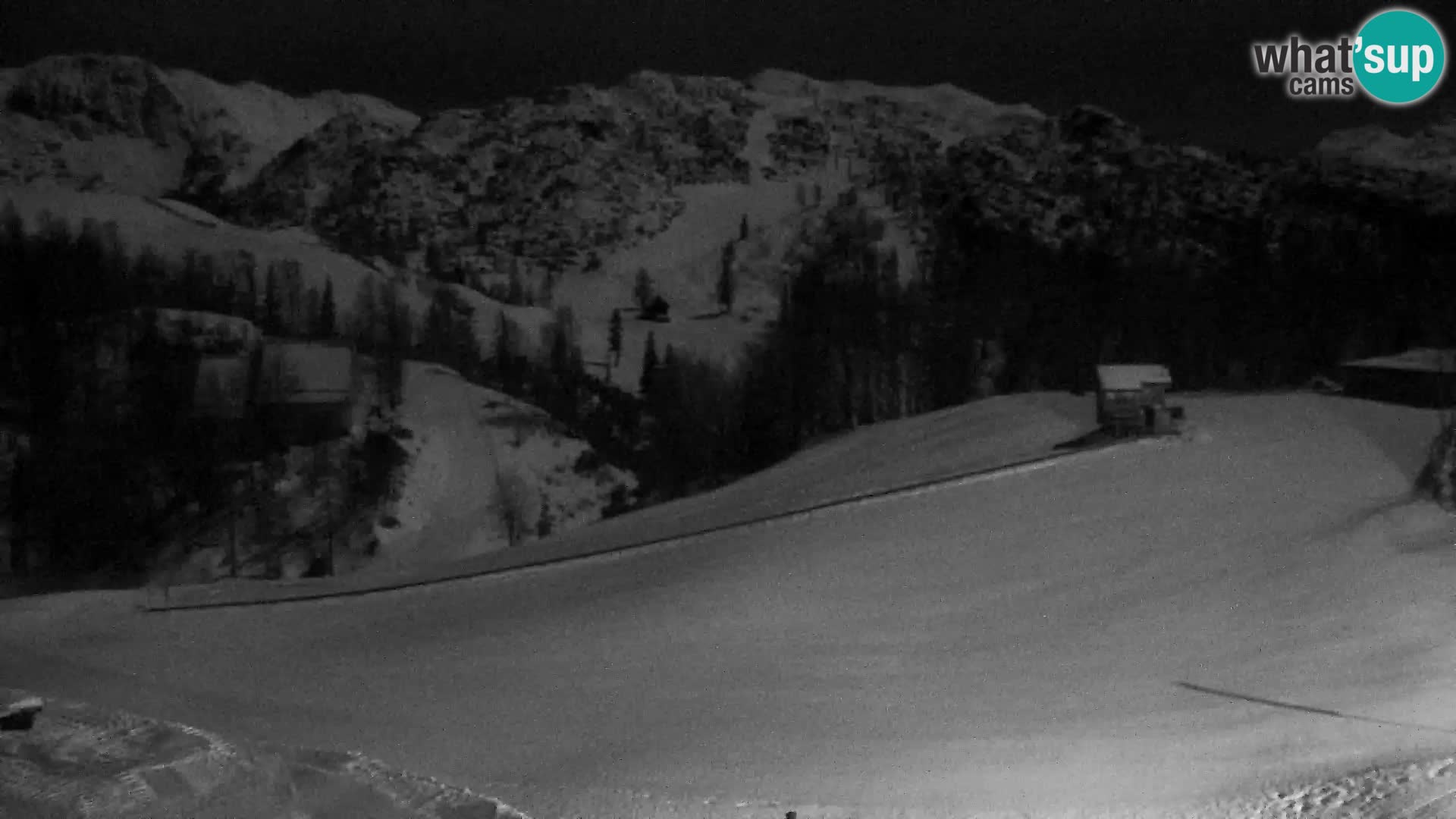 Live cam Station ski Vogel