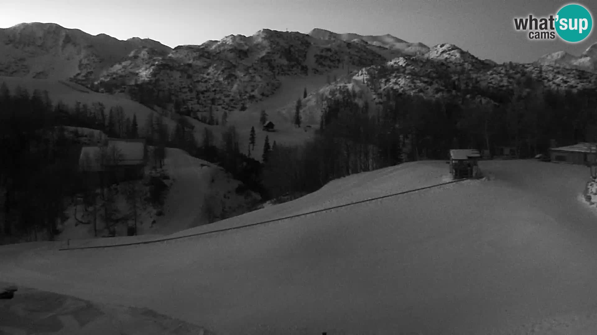 Live cam Station ski Vogel