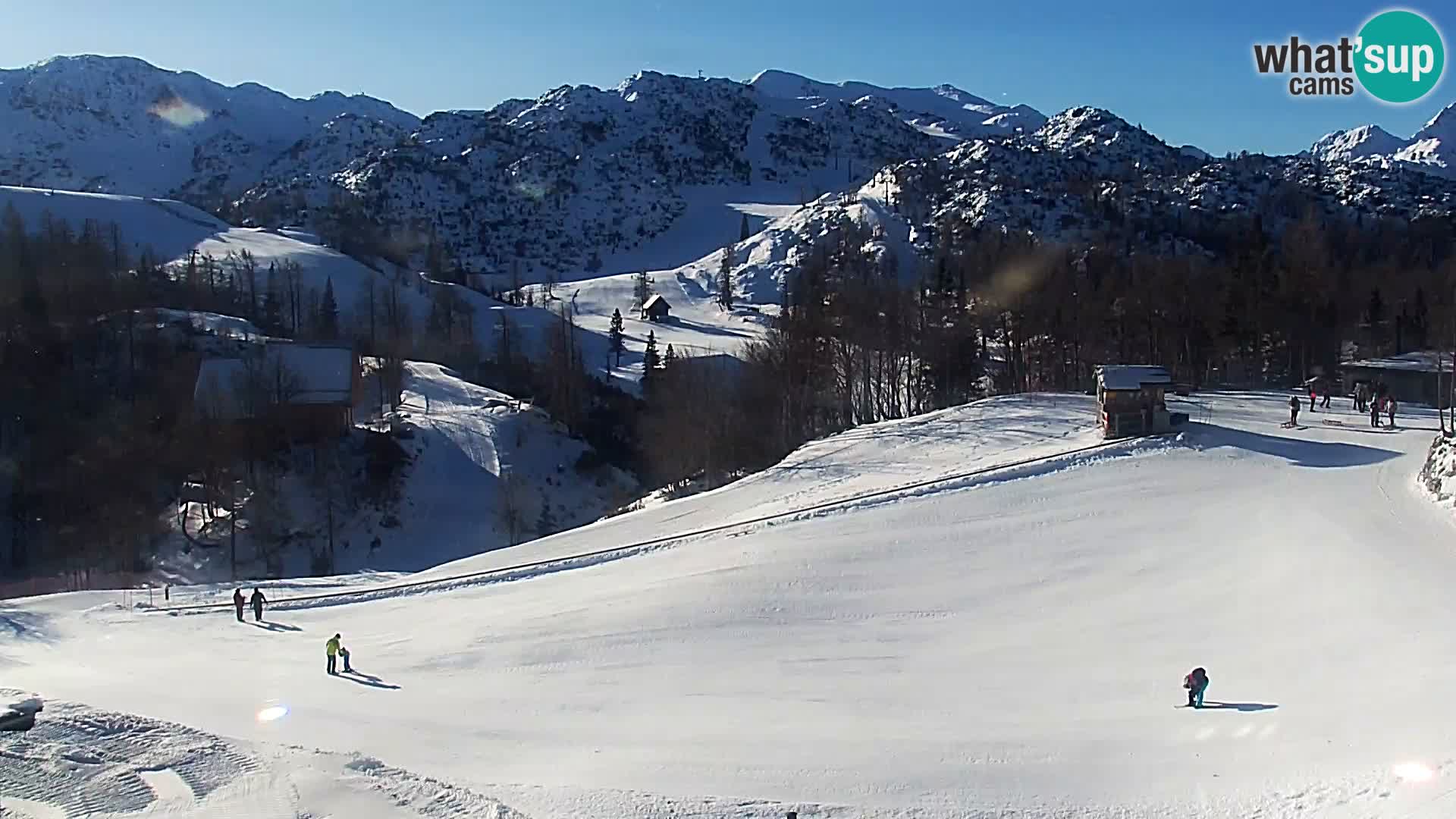 Live cam Station ski Vogel