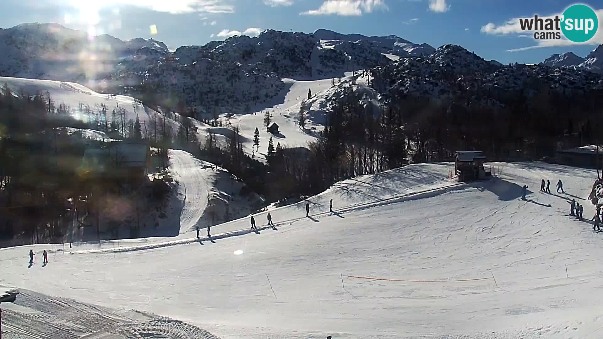 Webcam Ski resort Vogel