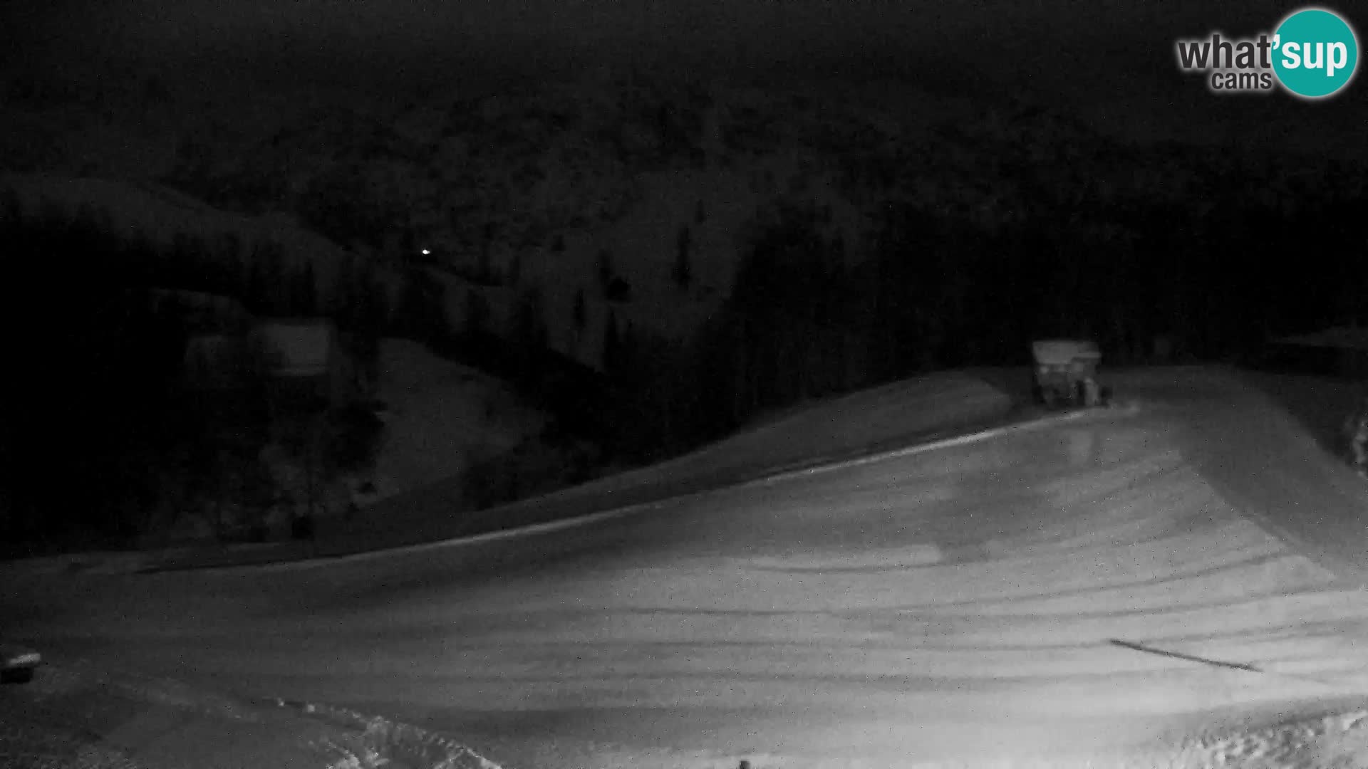 Live cam Station ski Vogel