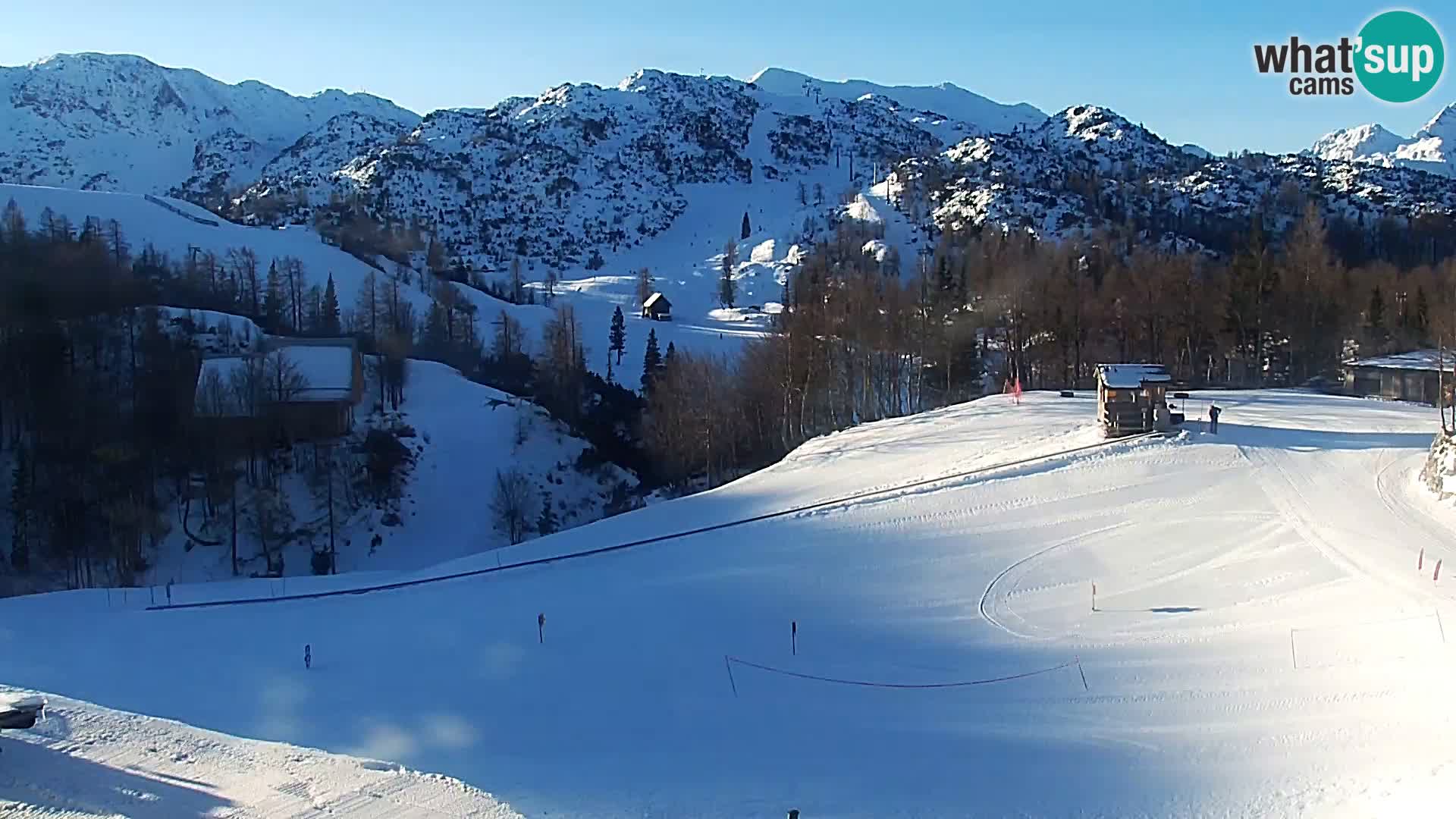 Webcam Skigebiet Vogel