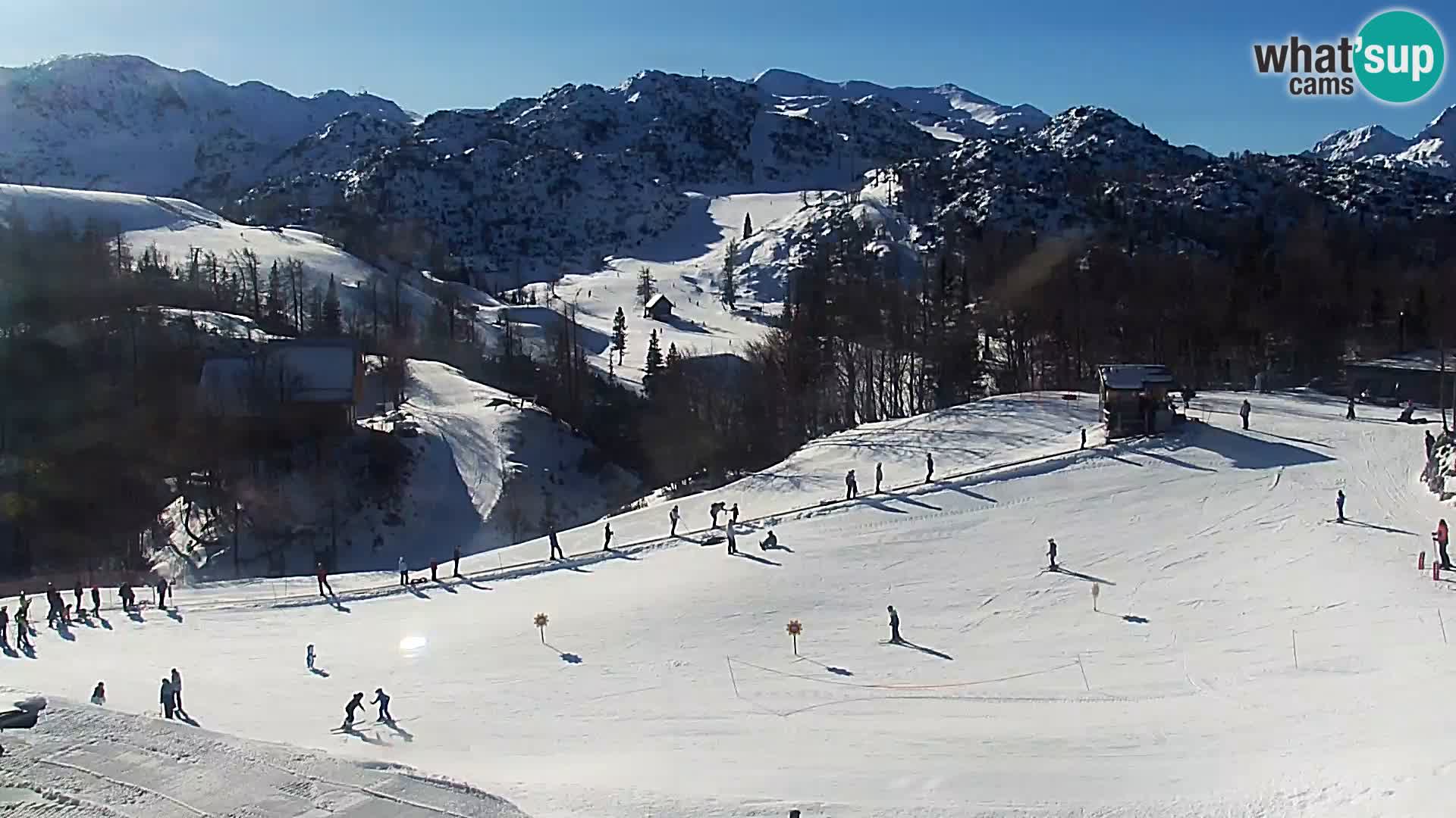 Live cam Station ski Vogel