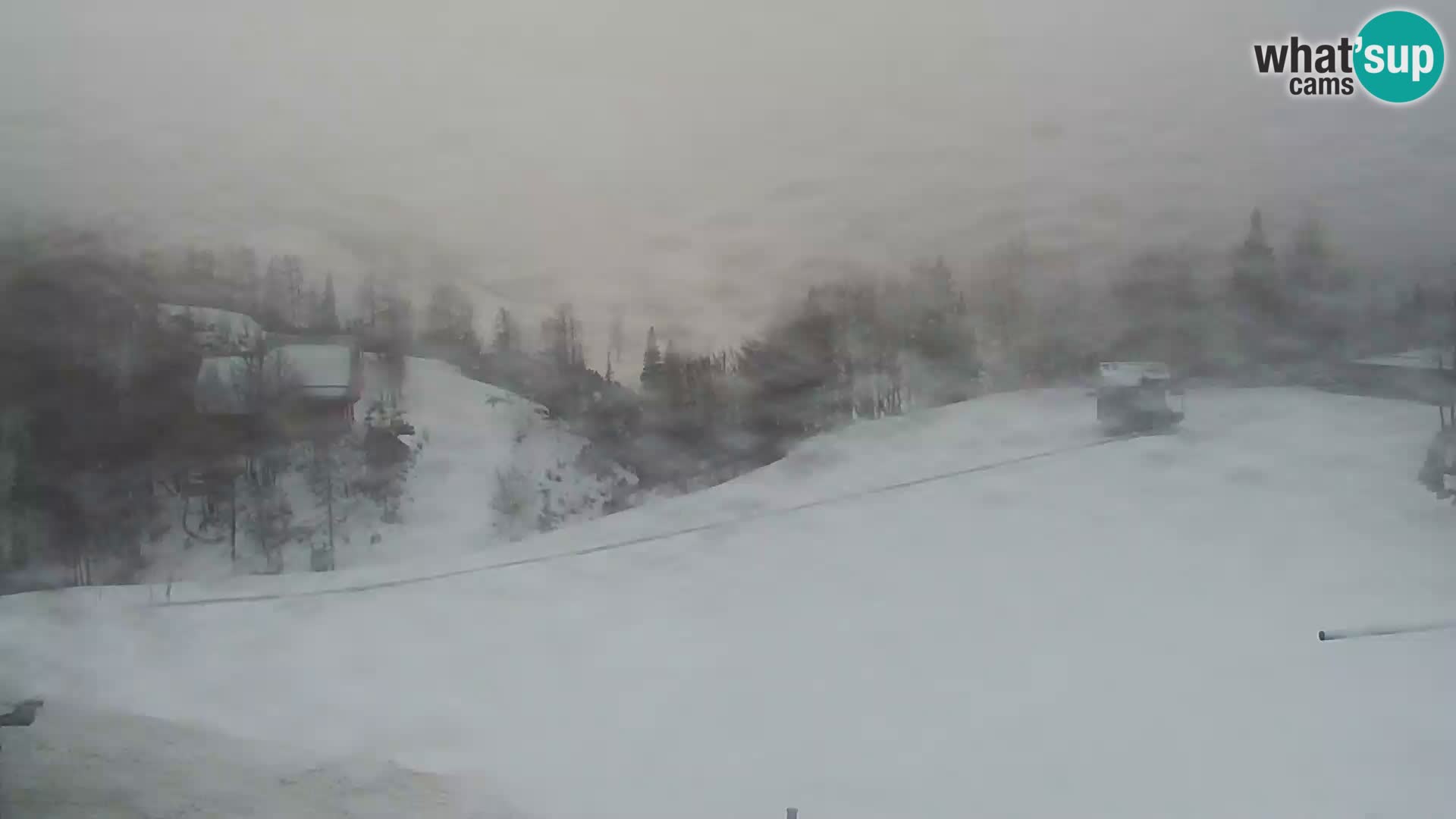 Webcam Skigebiet Vogel