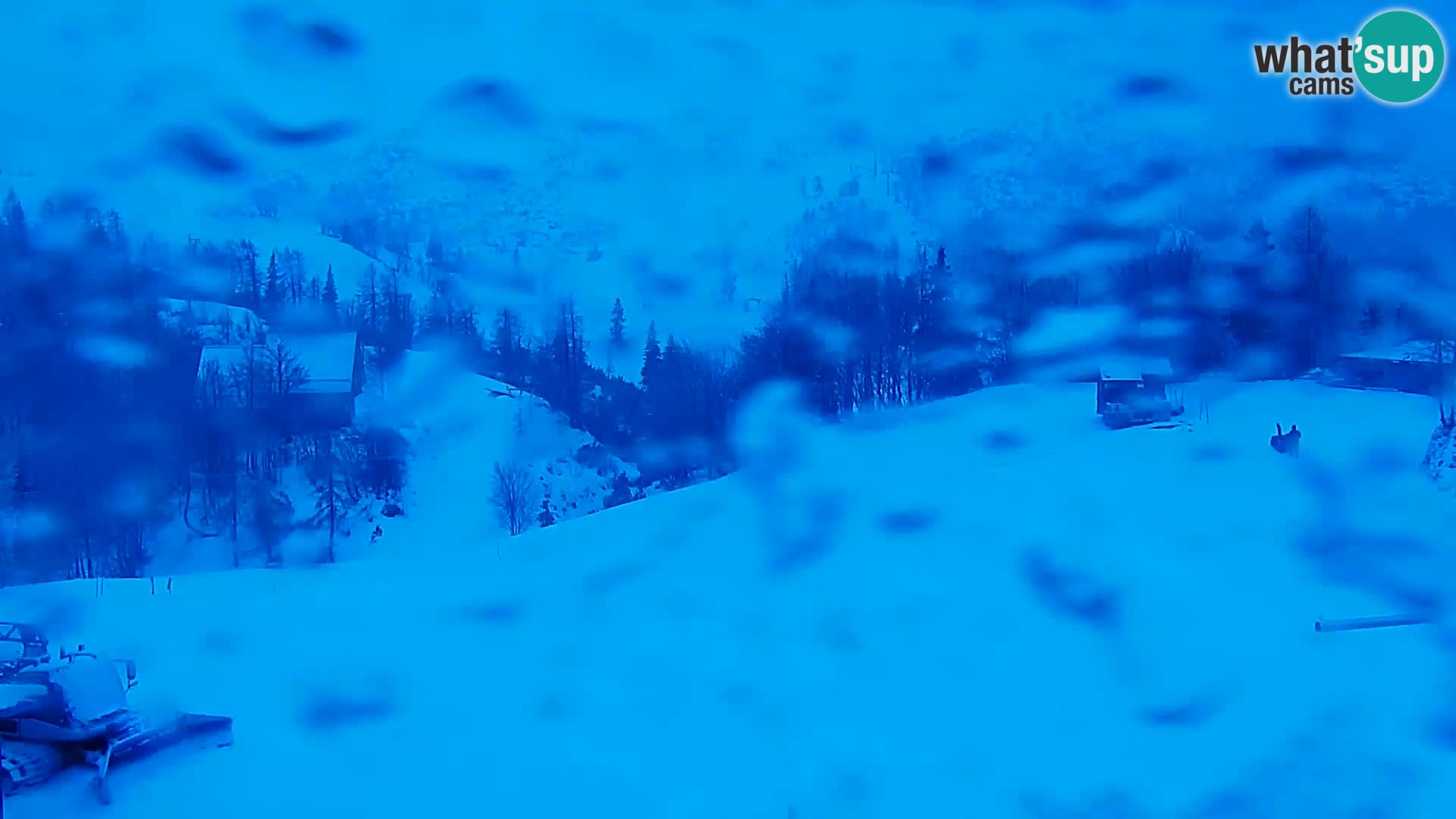 Live cam Station ski Vogel