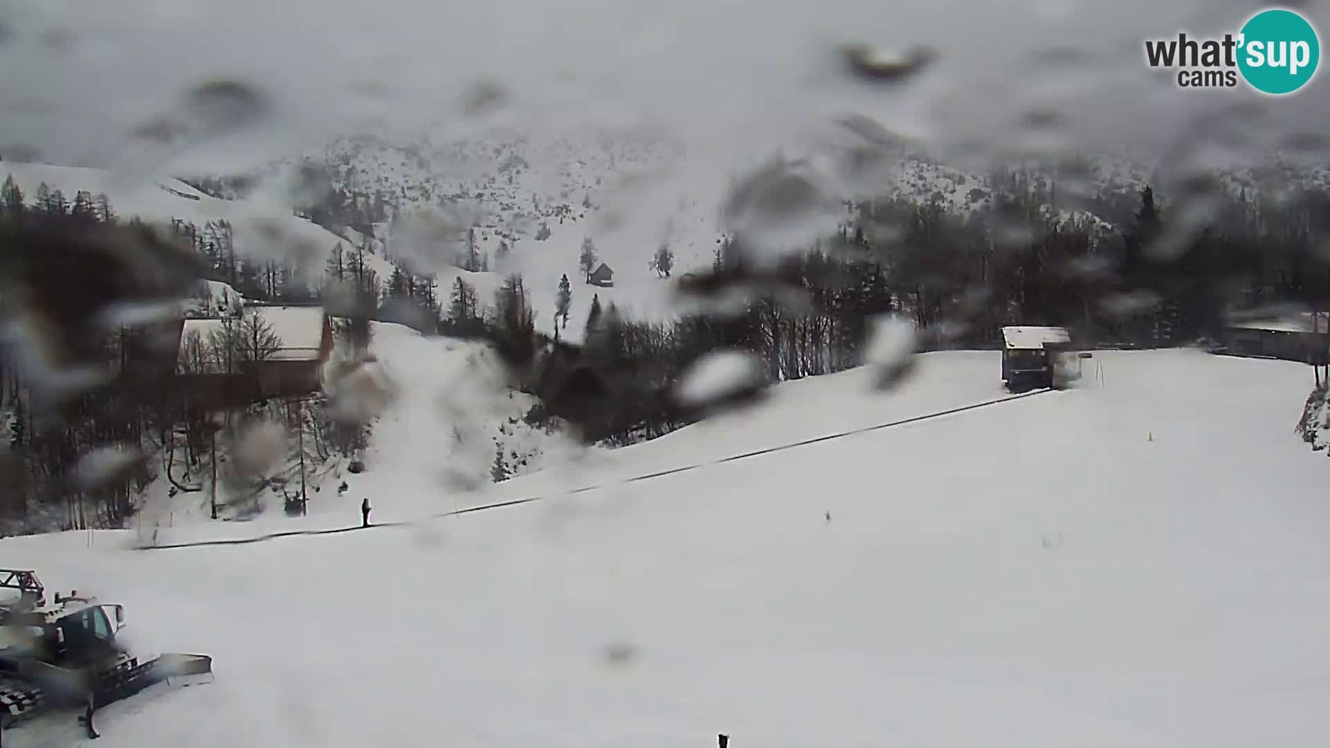 Webcam Skigebiet Vogel