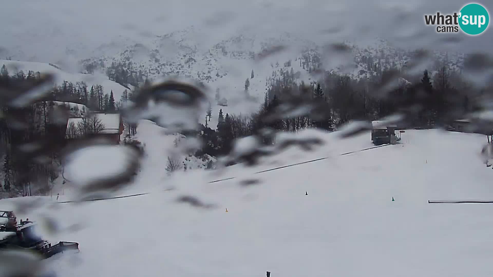 Webcam Skigebiet Vogel