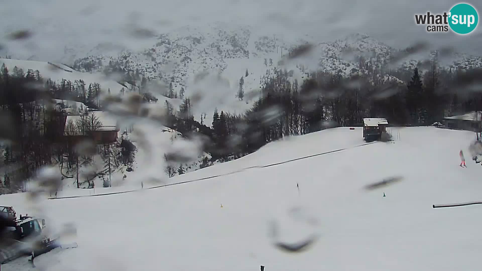 Webcam Skigebiet Vogel