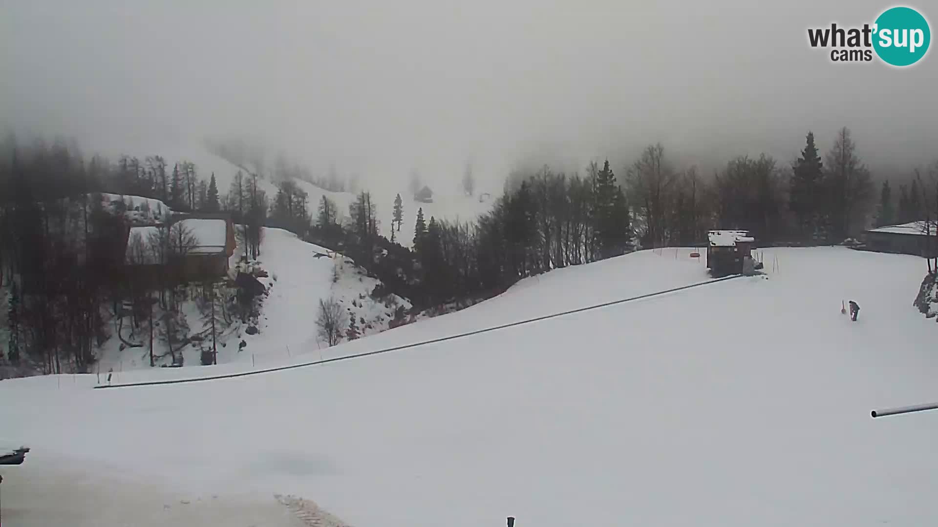 Webcam Ski resort Vogel