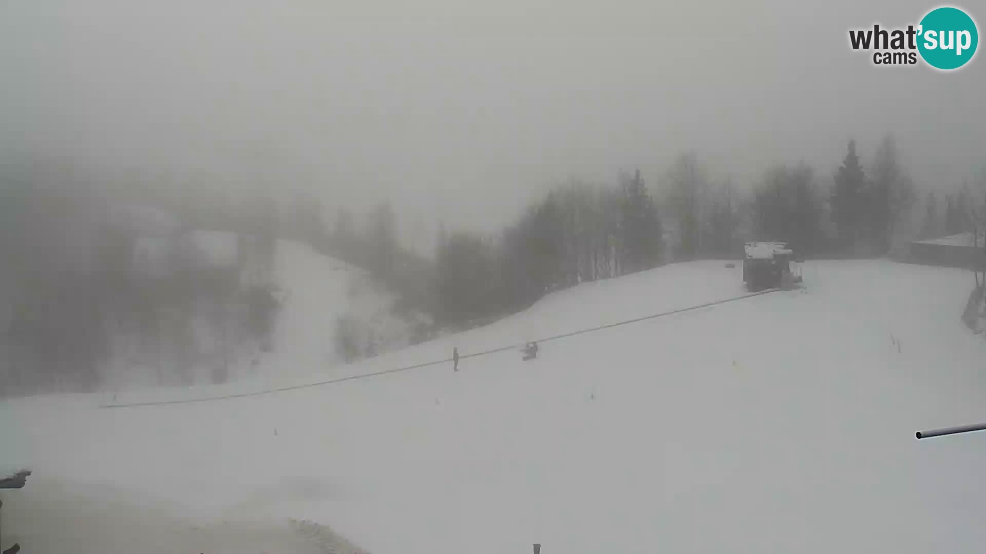 Webcam Skigebiet Vogel