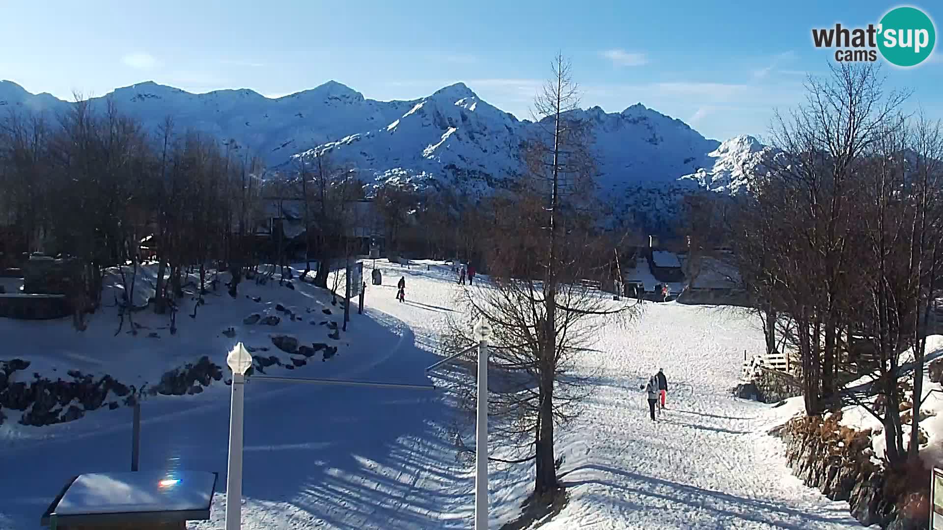 Live cam Station ski Vogel