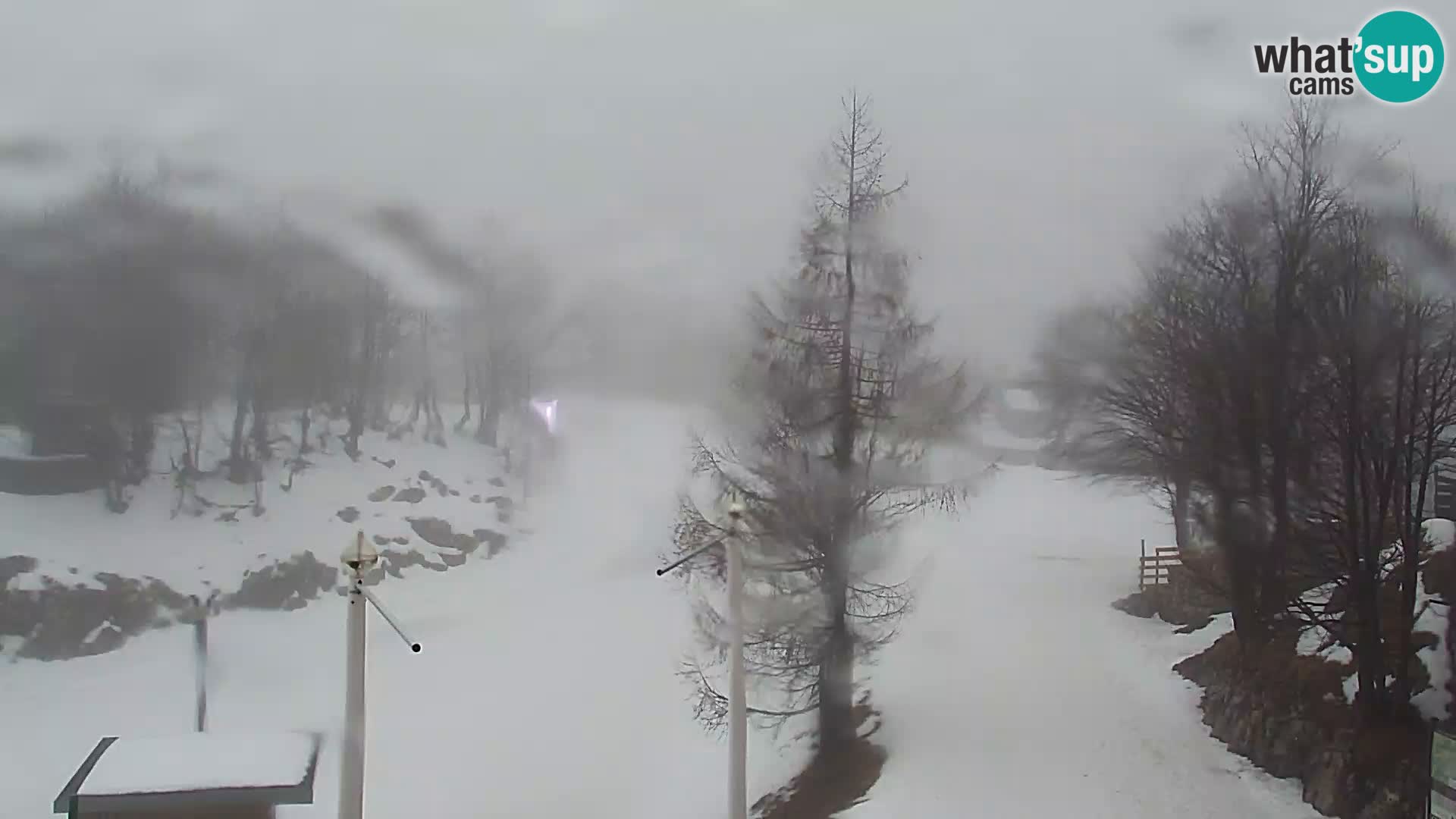 Live cam Station ski Vogel