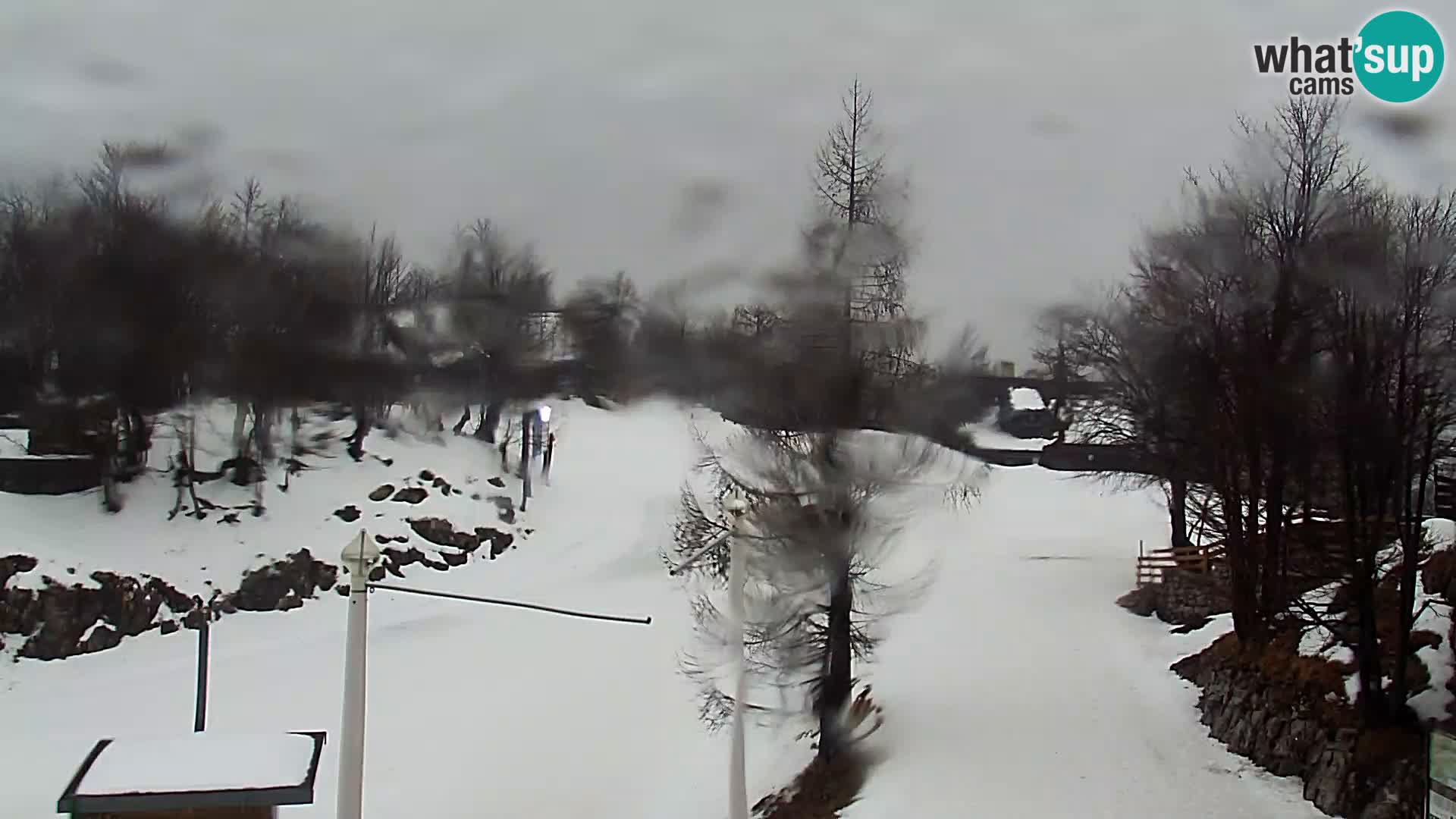 Live cam Station ski Vogel