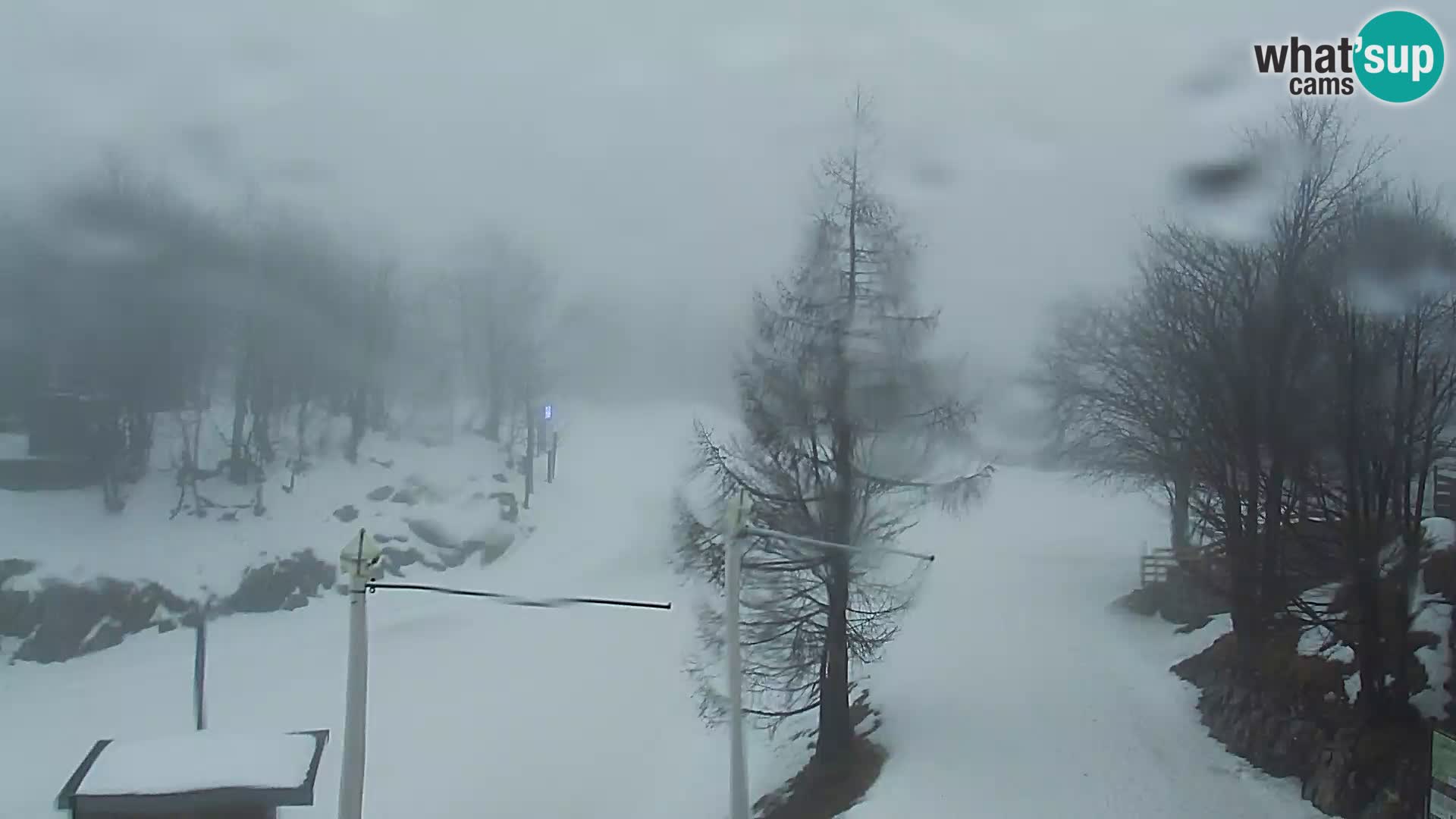 Webcam Skigebiet Vogel