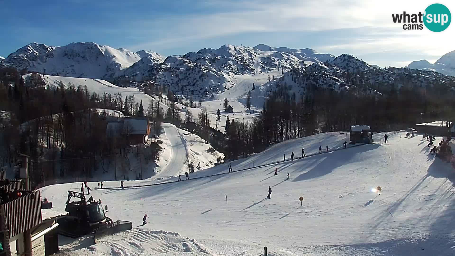 Webcam Ski resort Vogel