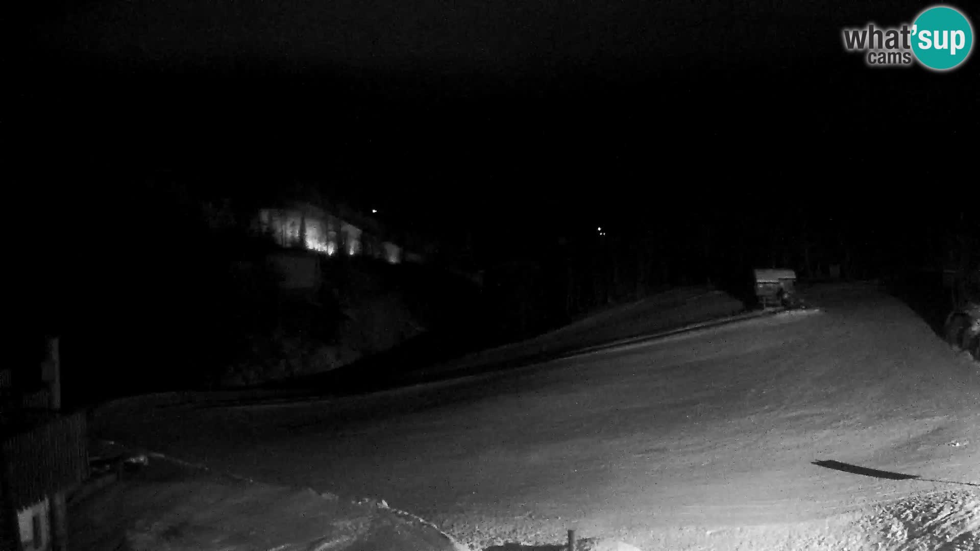 Live cam Station ski Vogel