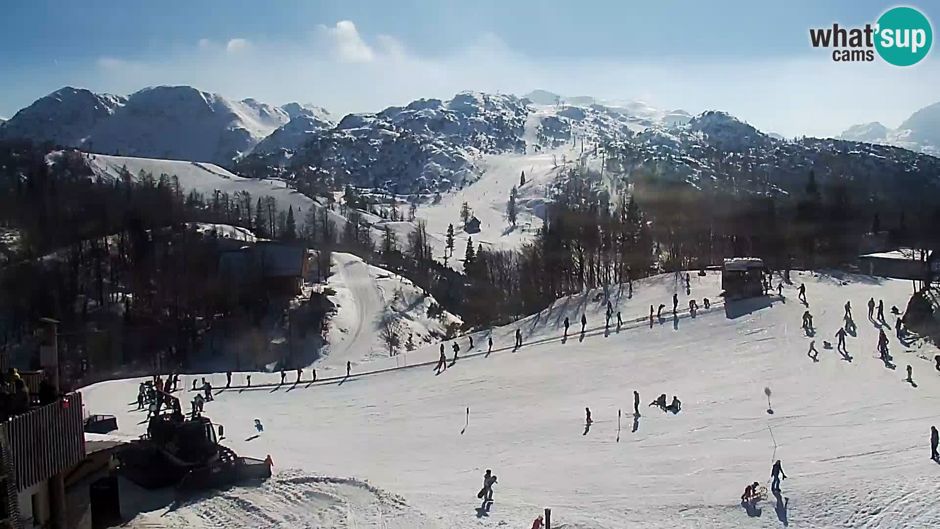 Webcam Skigebiet Vogel