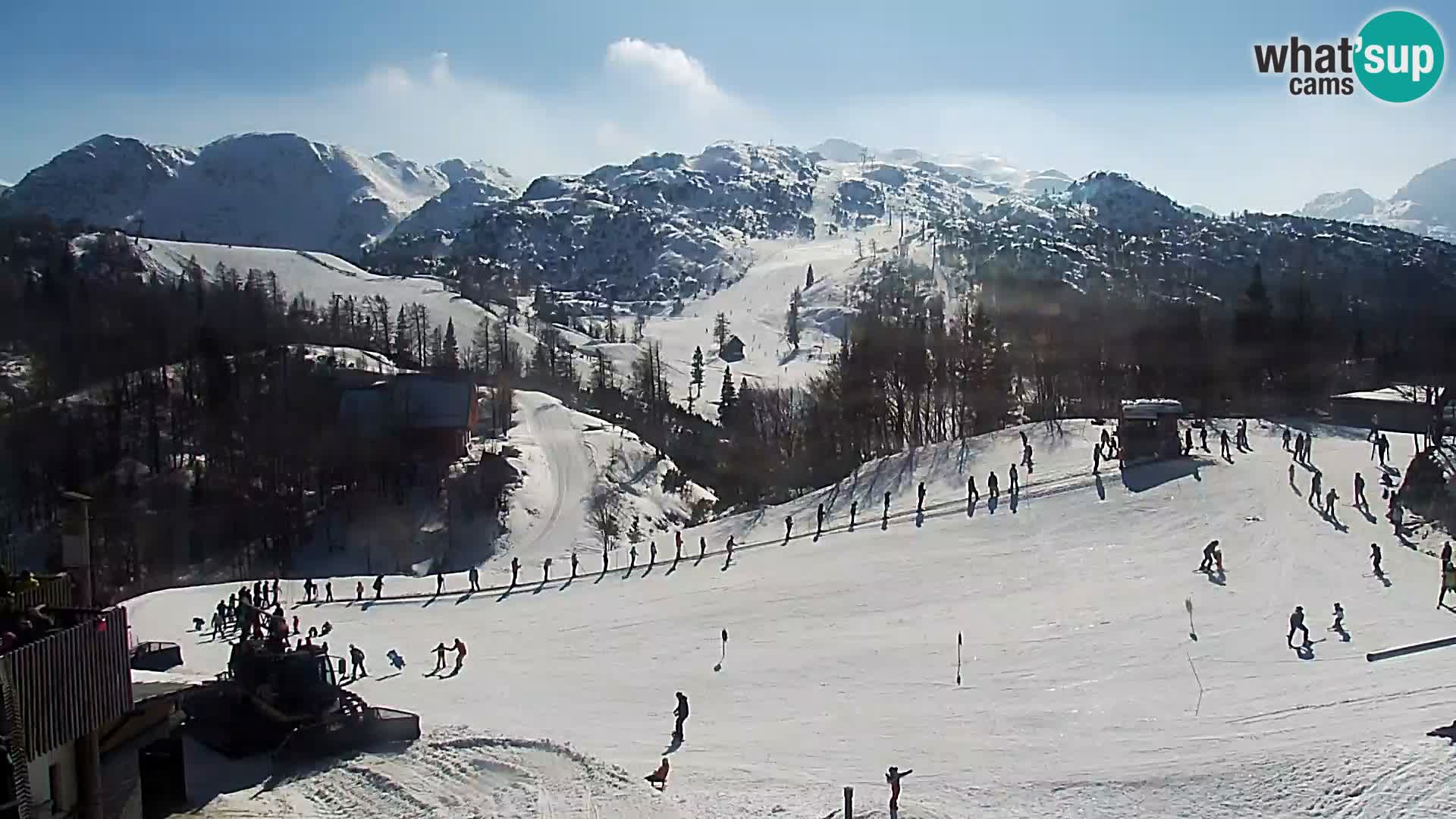 Webcam Skigebiet Vogel