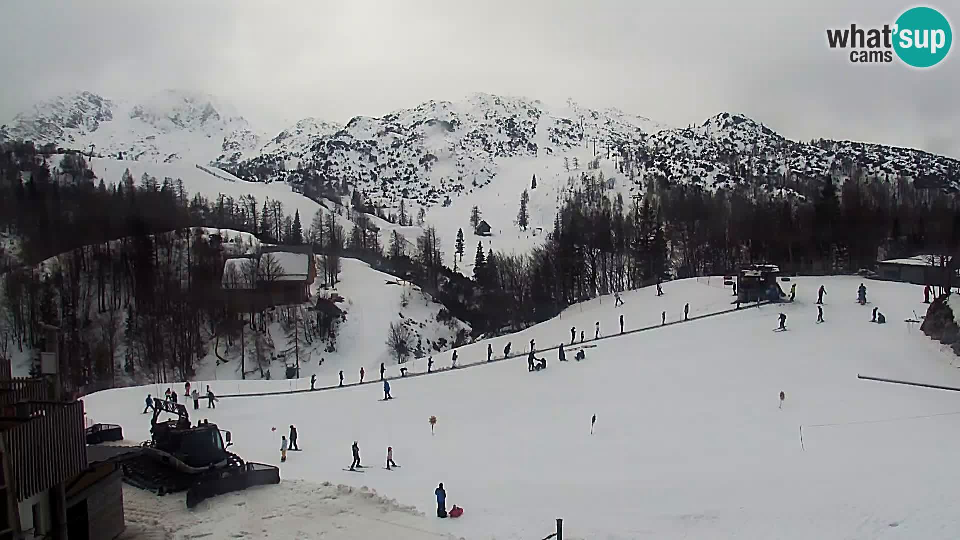 Webcam Skigebiet Vogel