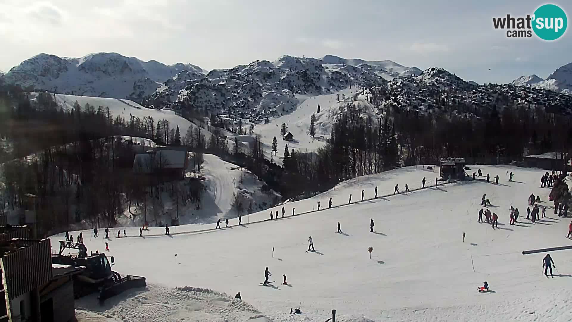 Webcam Ski resort Vogel