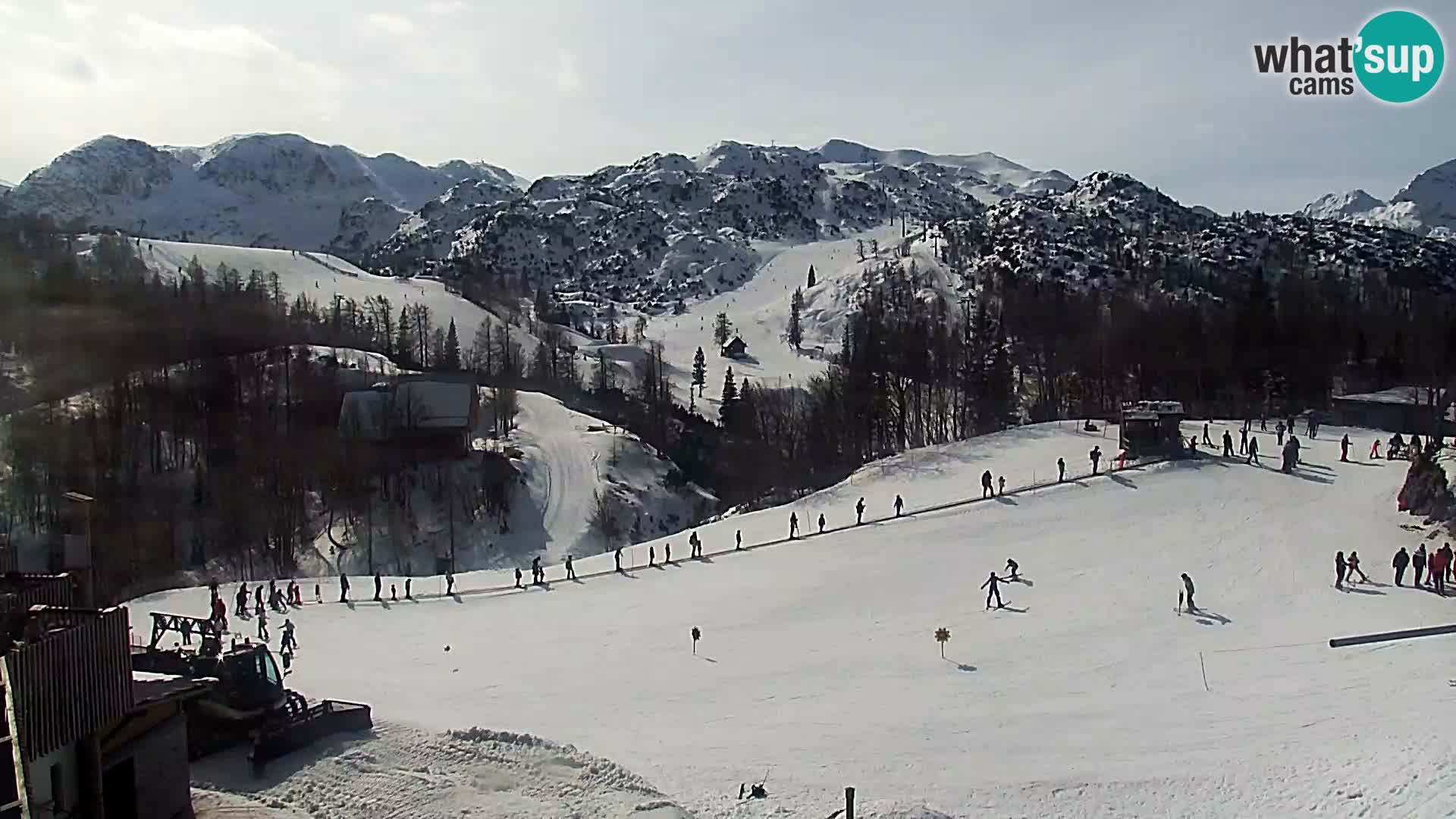 Live cam Station ski Vogel