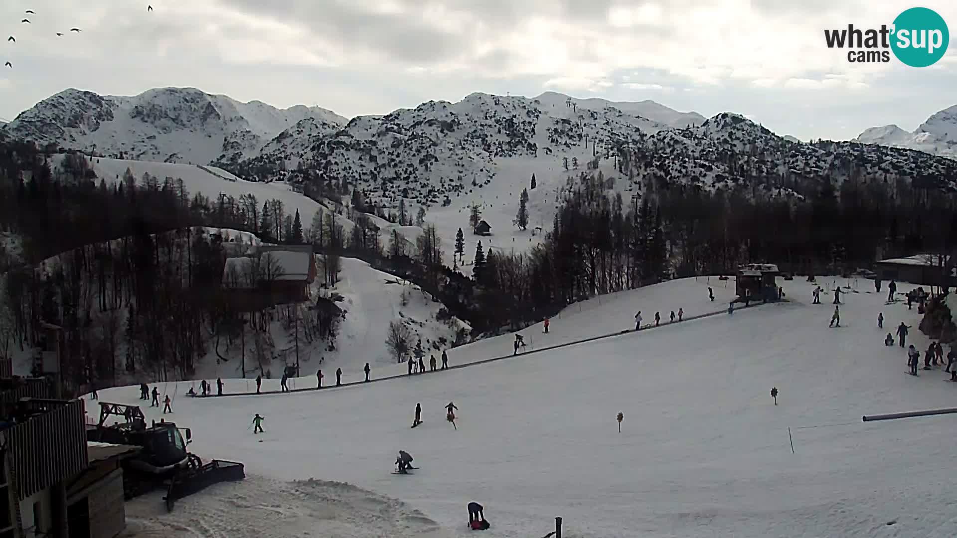 Live cam Station ski Vogel